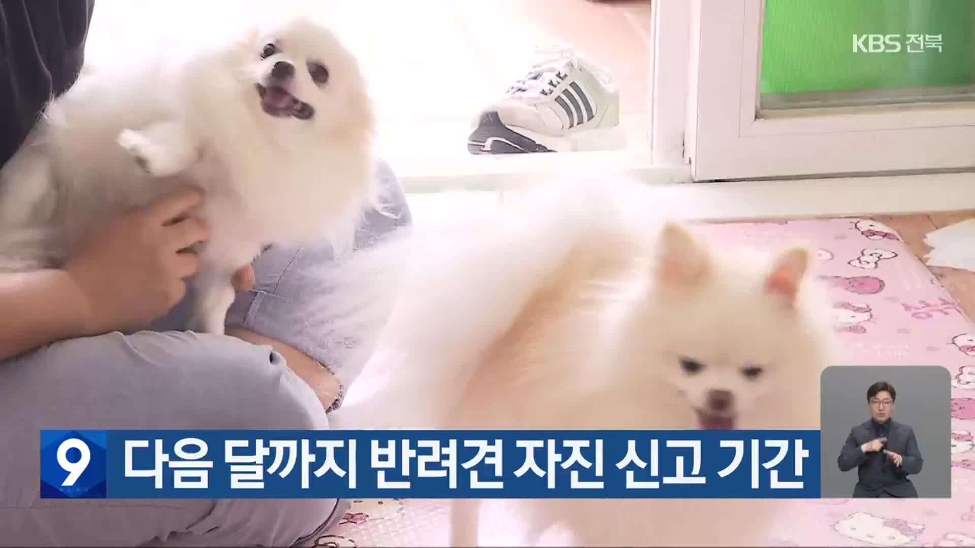다음 달까지 반려견 자진 신고 기간