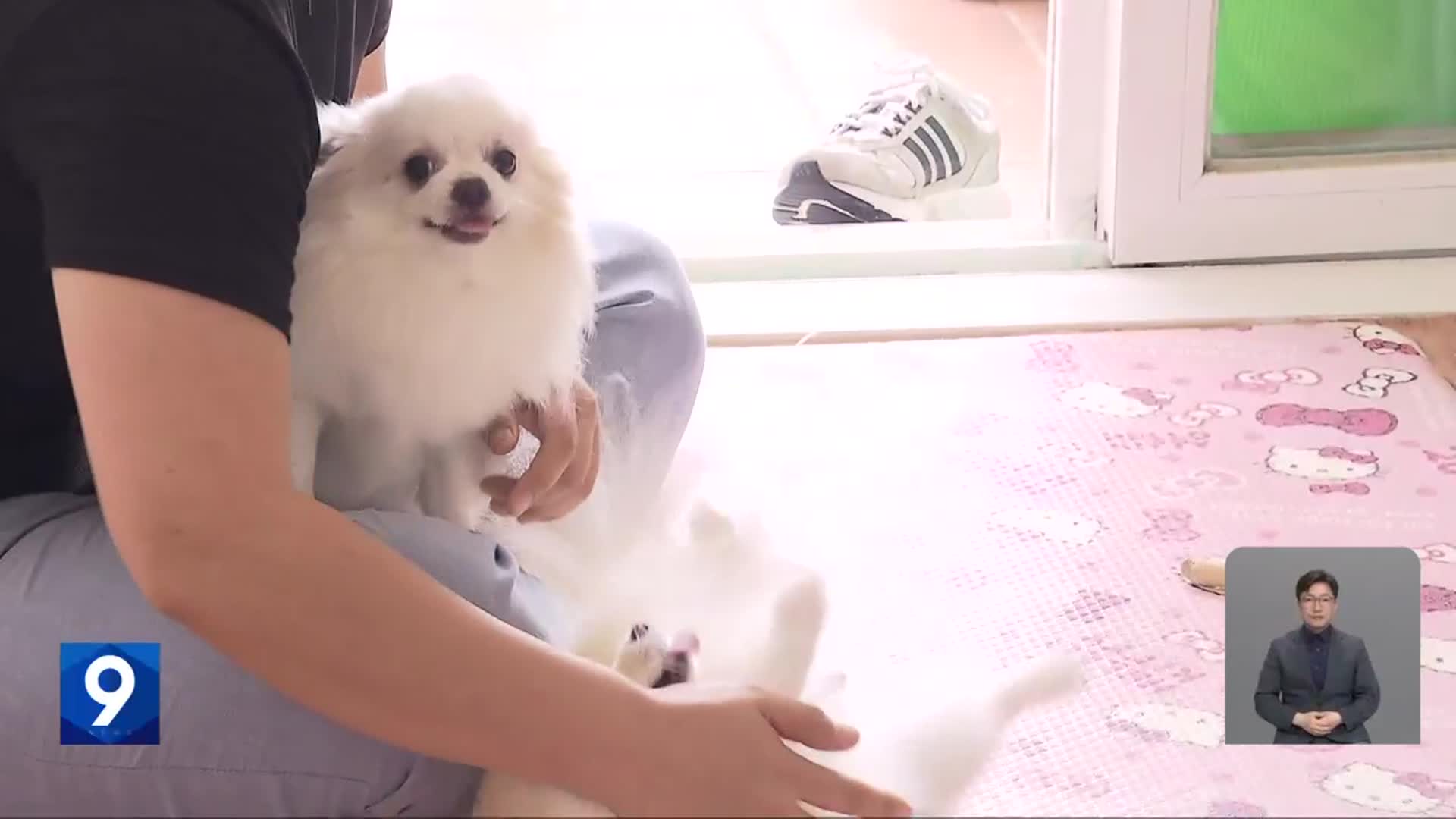 [뉴스9 전북 클로징]