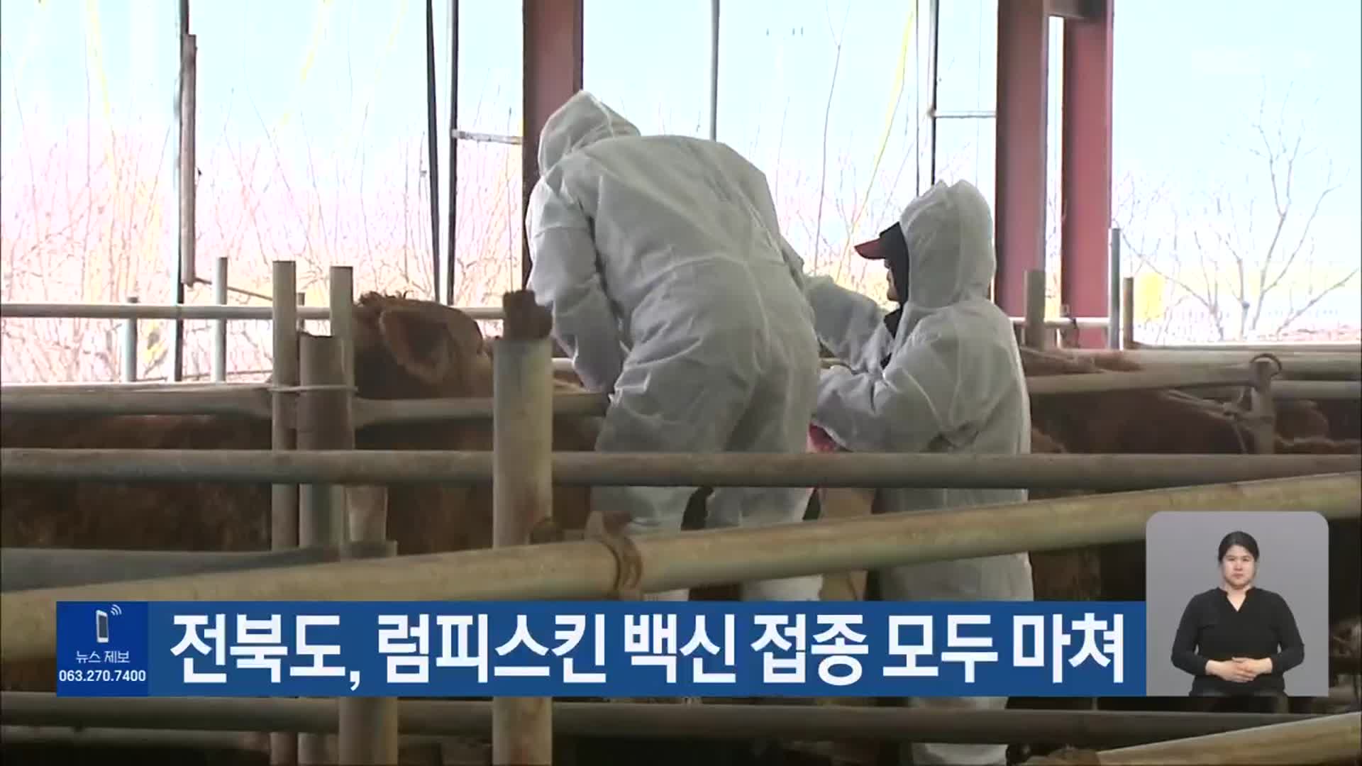 전북도, 럼피스킨 백신 접종 모두 마쳐