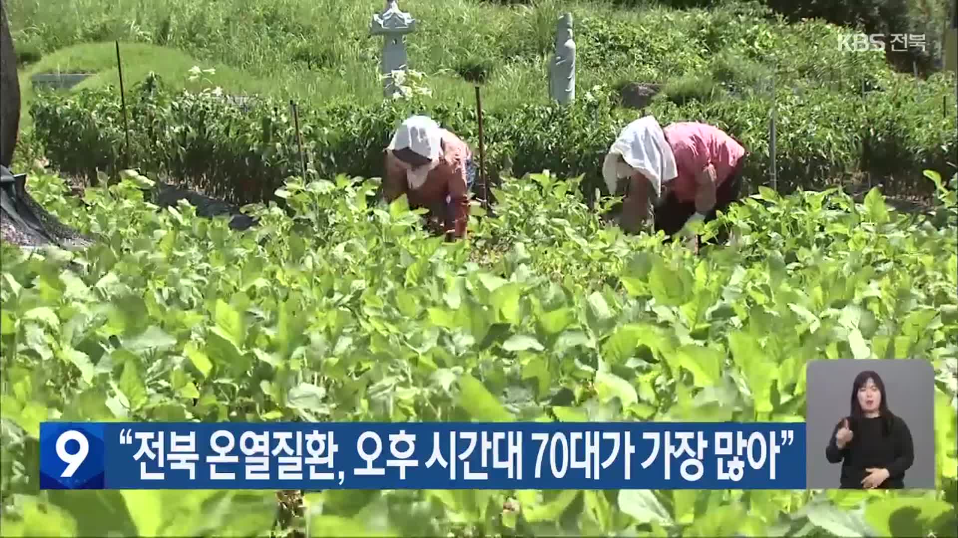 “전북 온열질환, 오후 시간대 70대가 가장 많아”