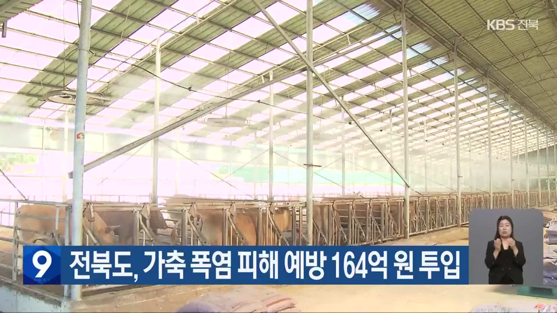 전북도, 가축 폭염 피해 예방 164억 원 투입