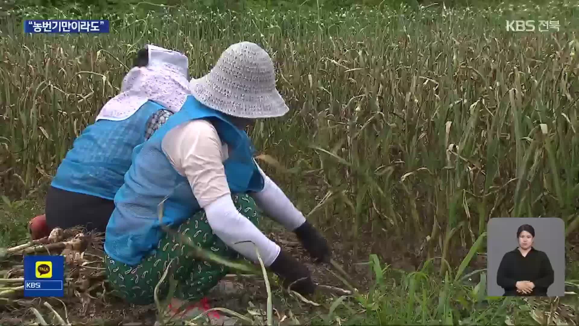 농촌 인력난 가중…“농번기만이라도 도와주세요”