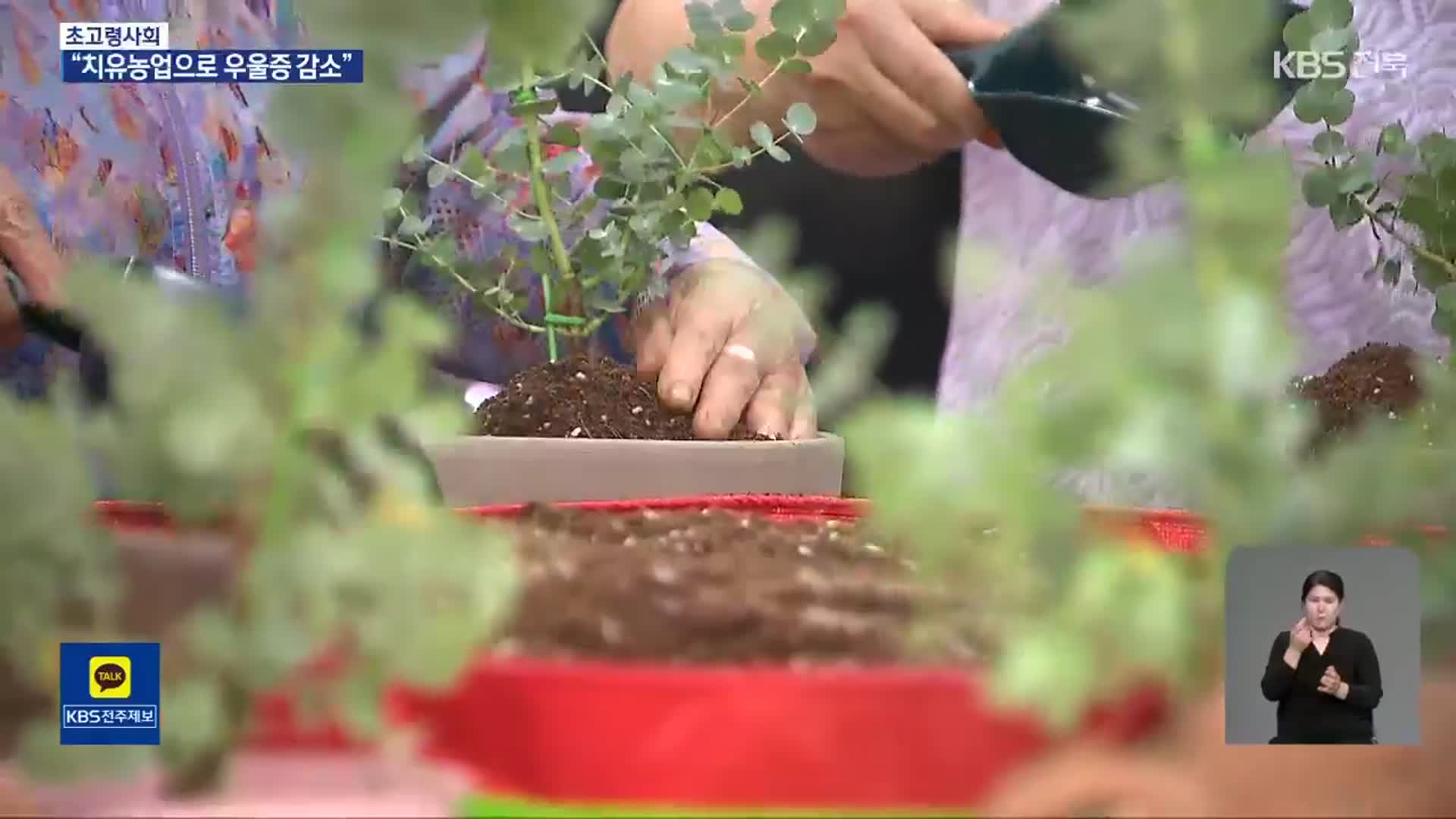 “우울증 10명 중 3명 ‘노인’”…초록 처방전 효과 ‘톡톡’