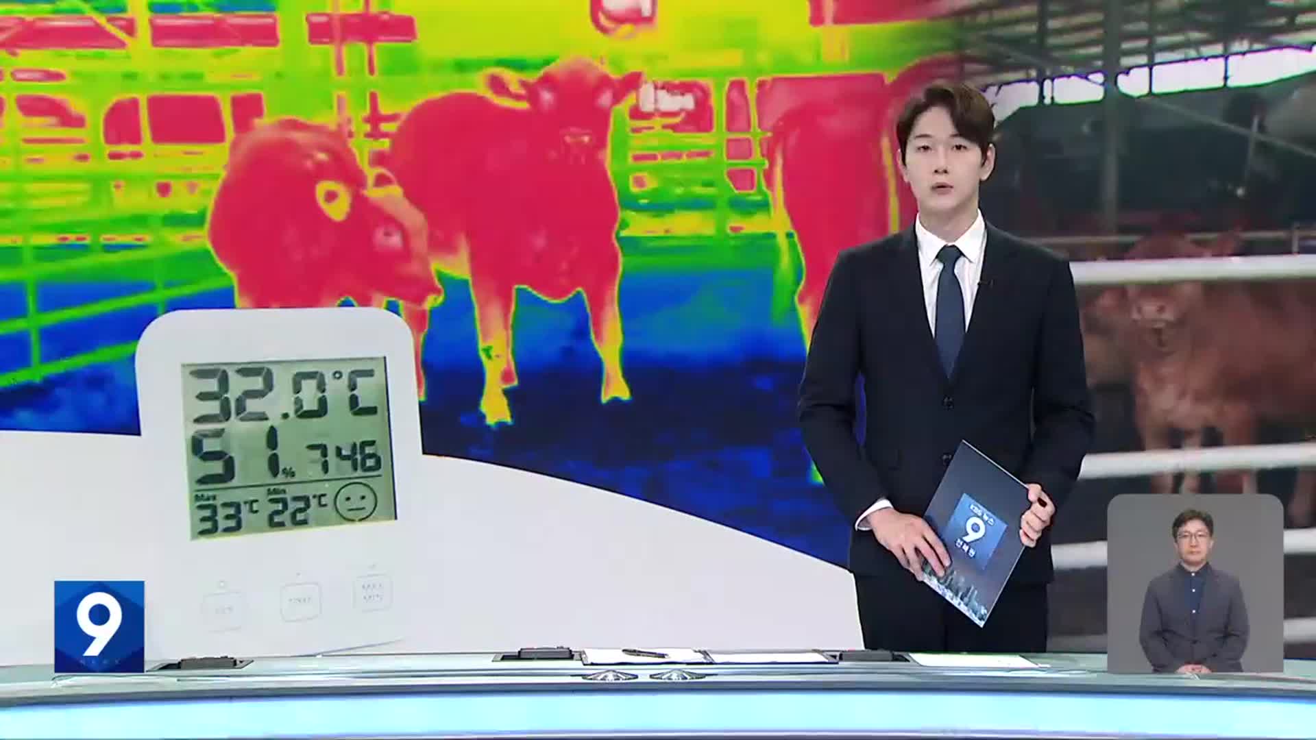 [뉴스9 전북 오프닝]