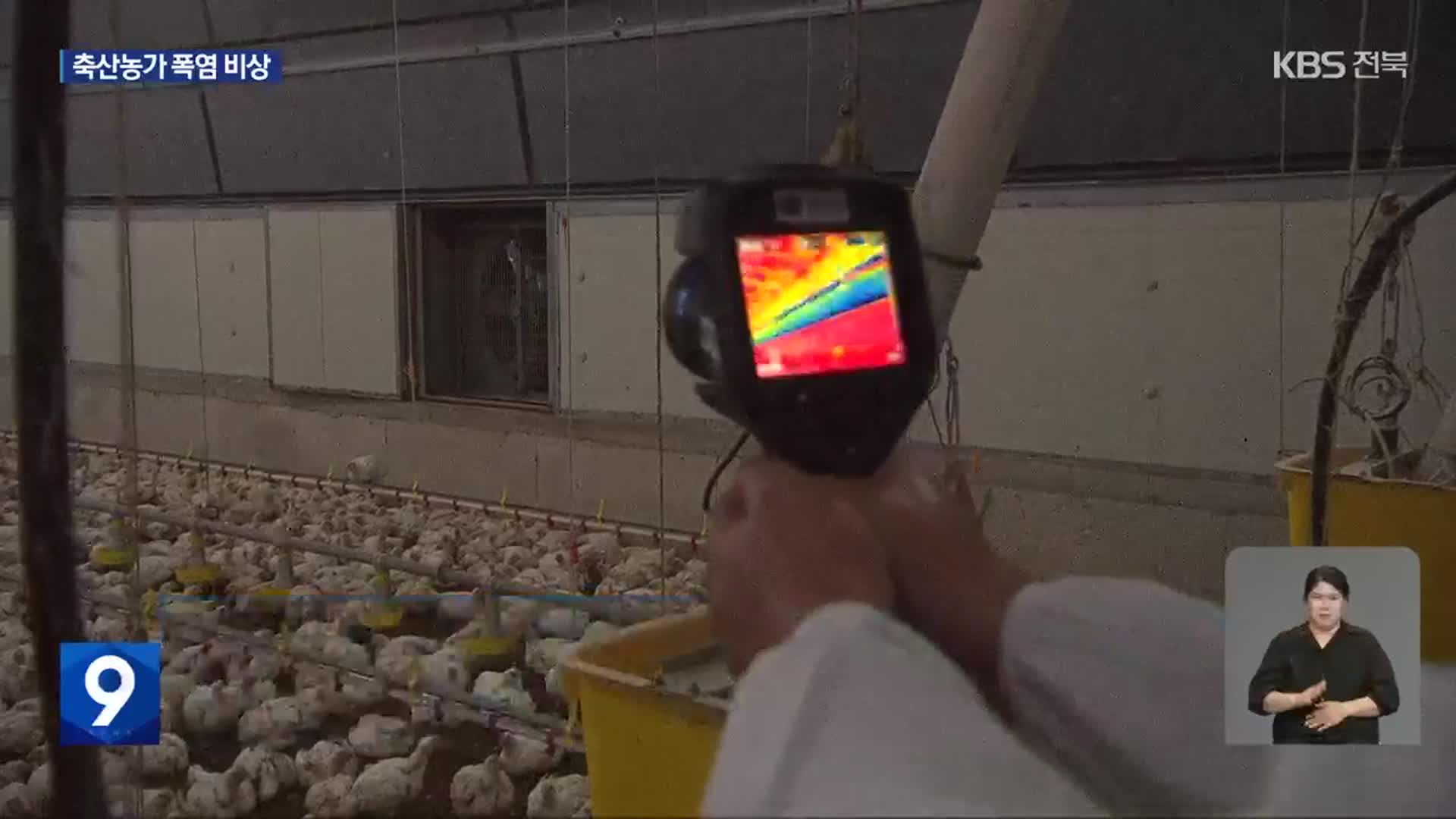 송풍기에 냉각 패드까지…축산농가, 폭염 대응 안간힘