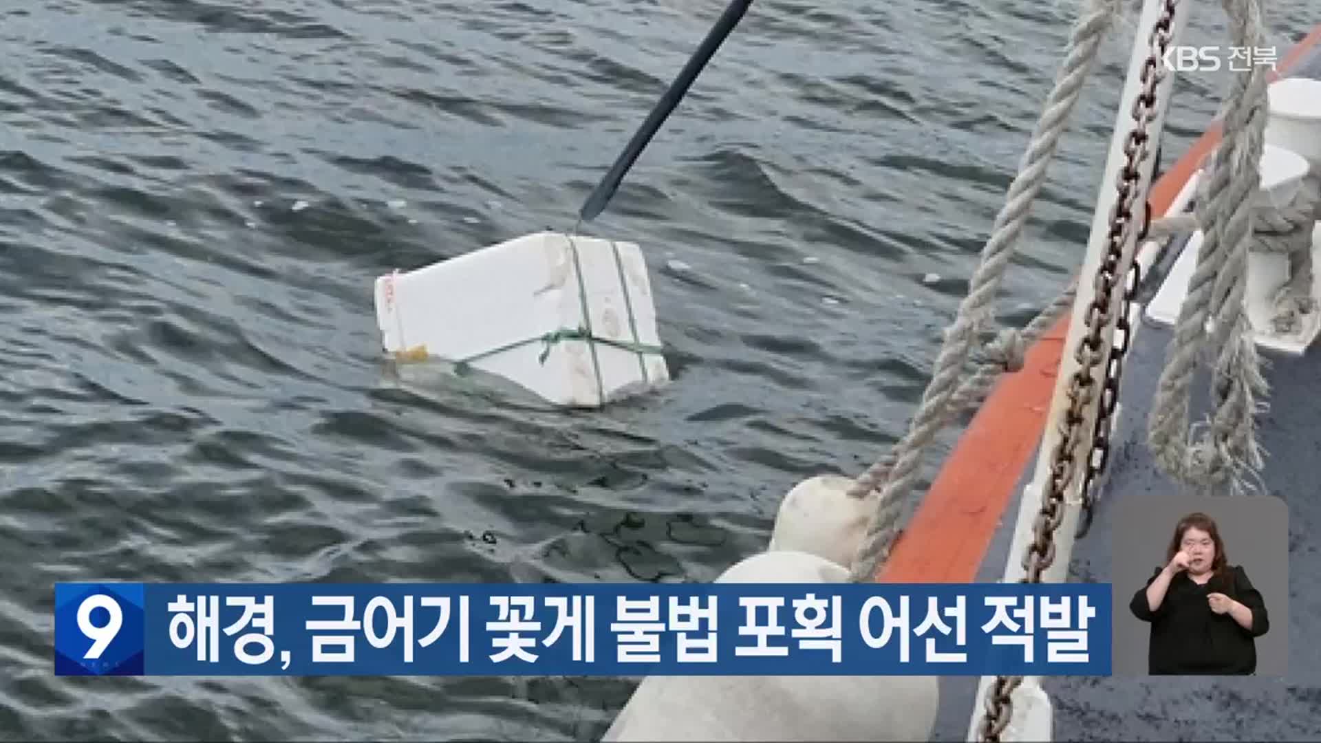 해경, 금어기 꽃게 불법 포획 어선 적발
