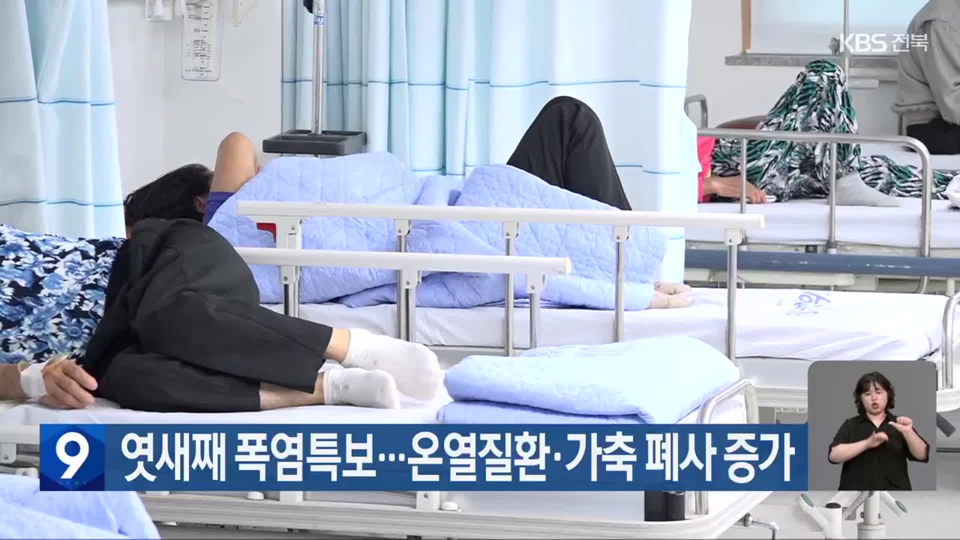 엿새째 폭염특보…온열질환·가축 폐사 증가