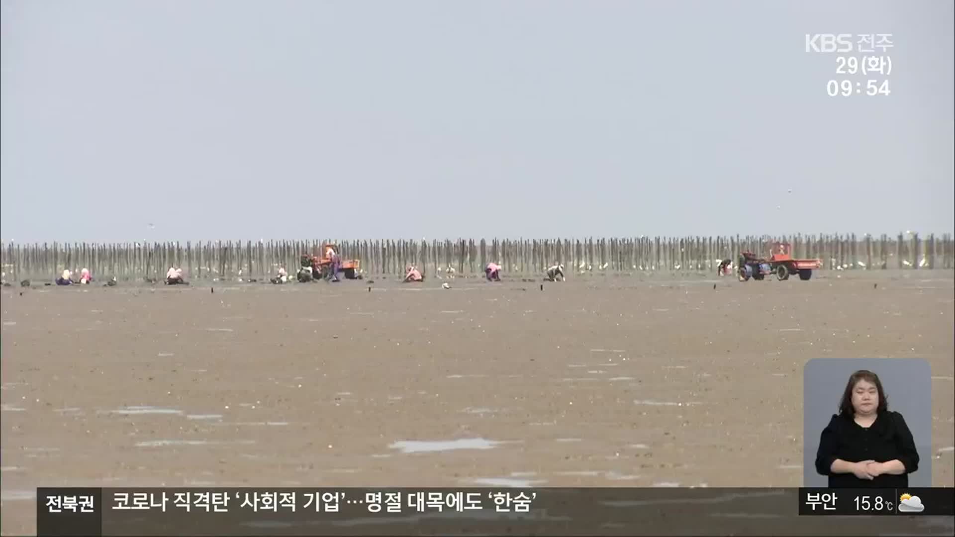 [전북의 창] 바지락 종자 대량 생산 시설…양식 경쟁력 향상