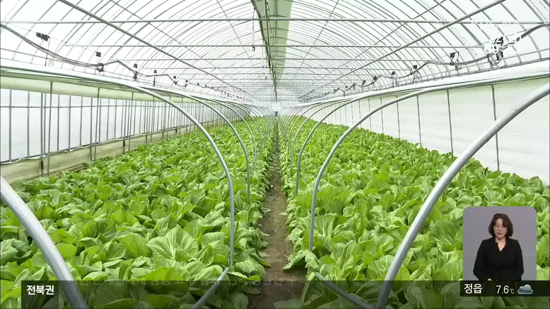 [전북의 창] 아열대 채소 재배…겨울철 틈새 시장 공략