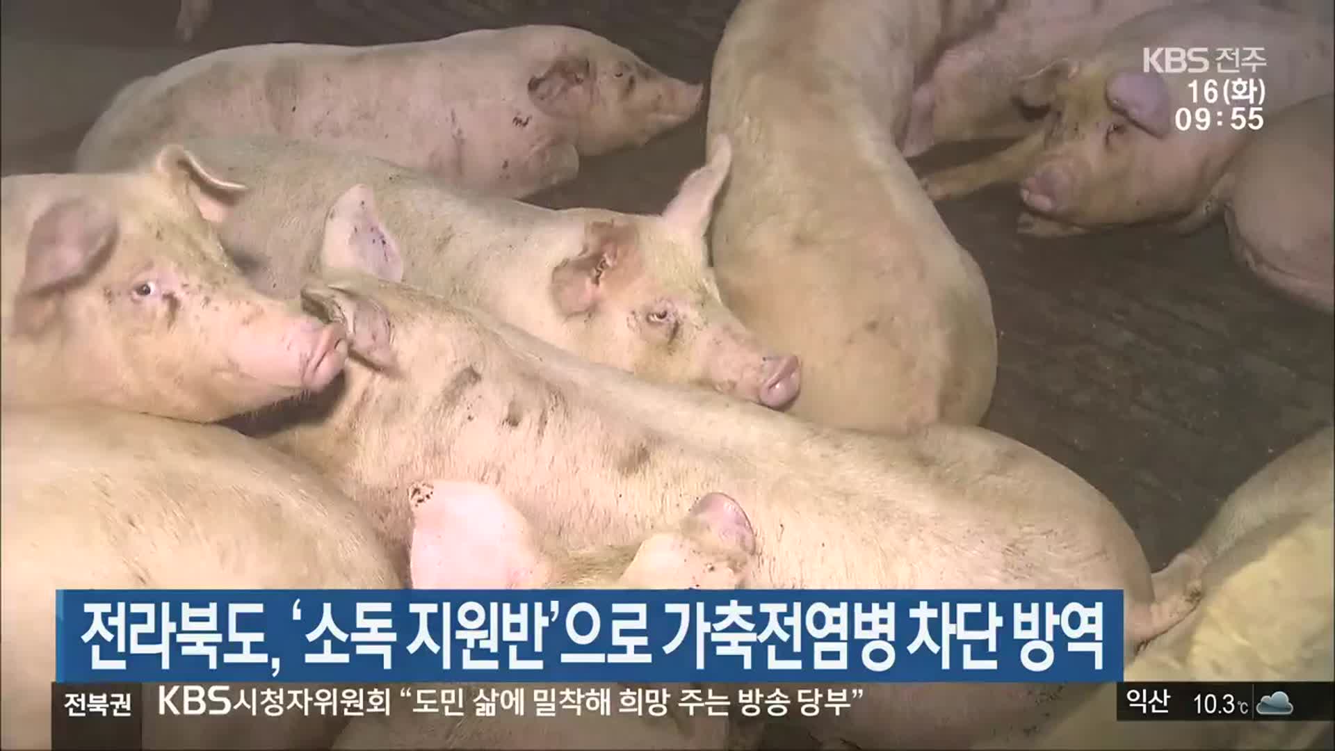 전라북도, ‘소독 지원반’으로 가축전염병 차단 방역