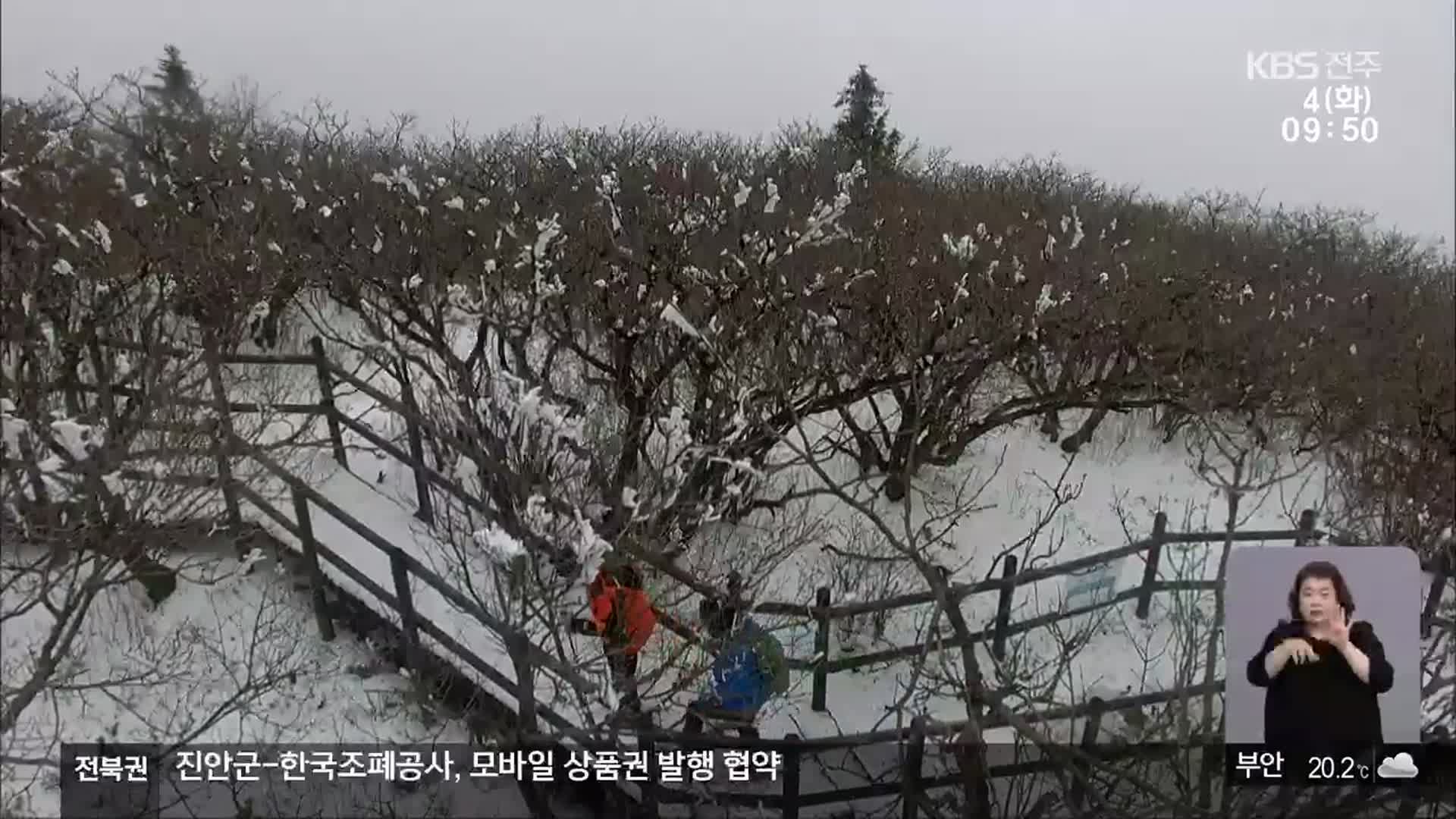 전북에 5월 눈·4월 한파…봄 날씨 ‘들쑥날쑥’
