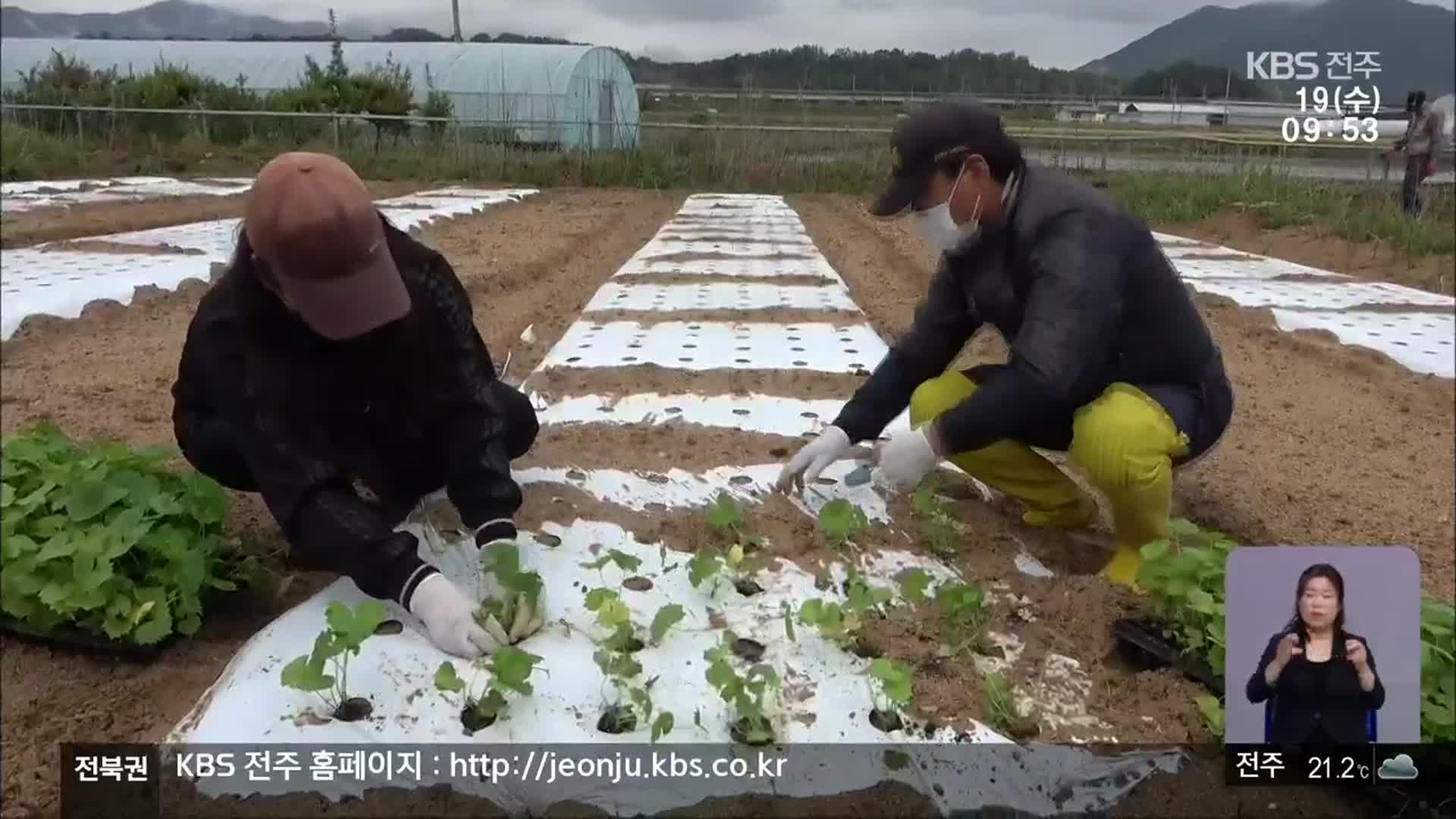 [전북의 창] 가족실습농장 성과…도시민 정착 도와
