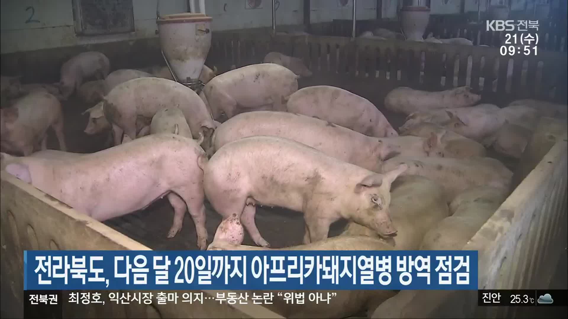 전라북도, 다음 달 20일까지 아프리카돼지열병 방역 점검