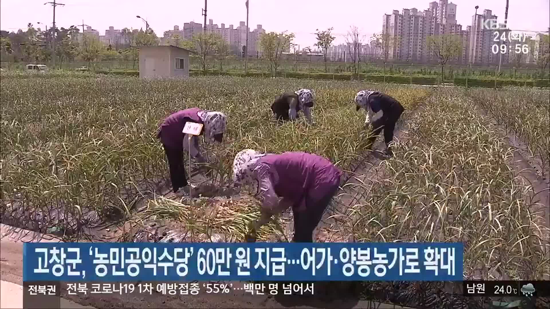 고창군, ‘농민공익수당’ 60만 원 지급…어가·양봉농가로 확대