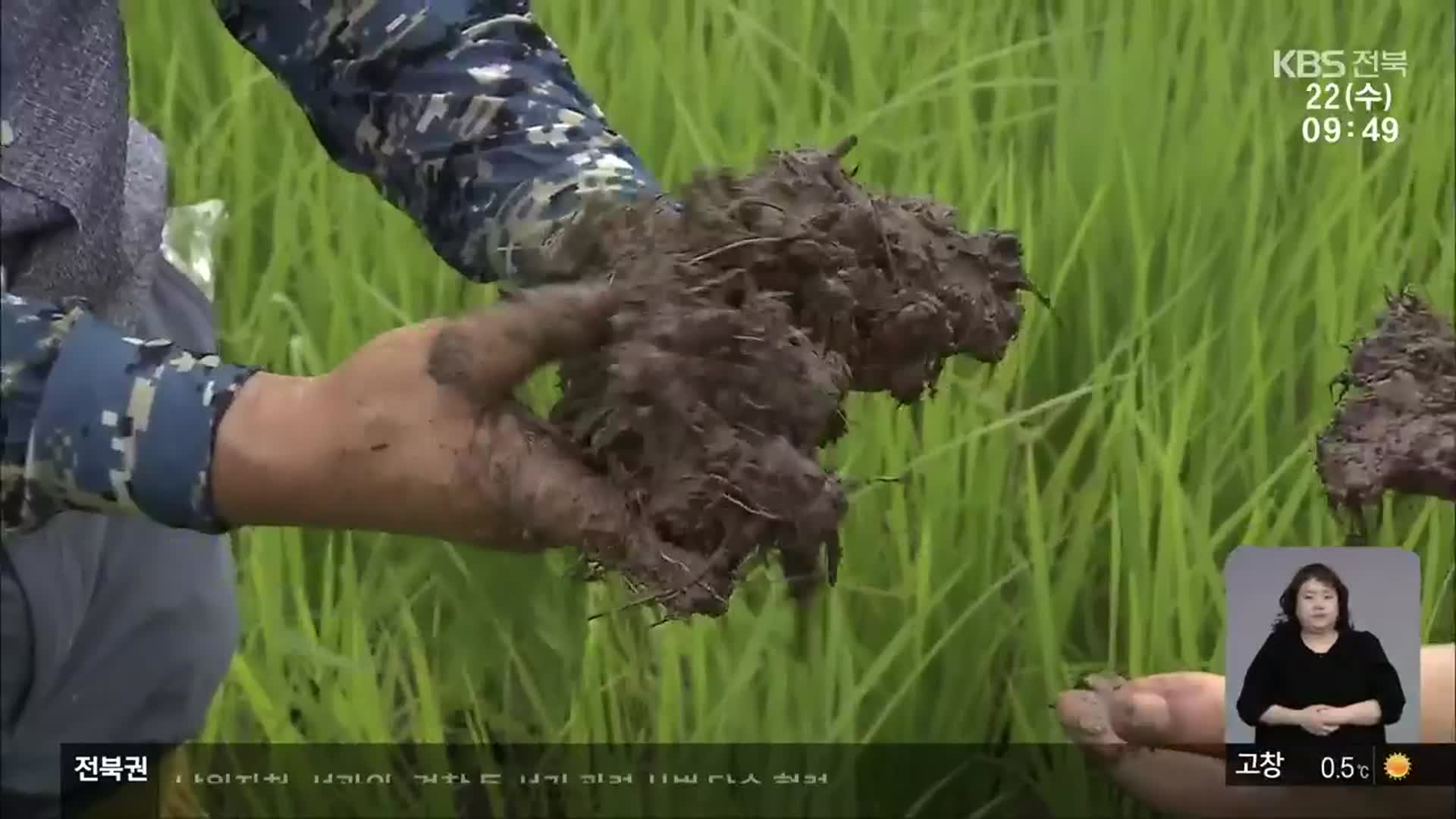 [흙, 묻다]② 흙에 탄소 가두는 ‘무경운 농법’ 주목