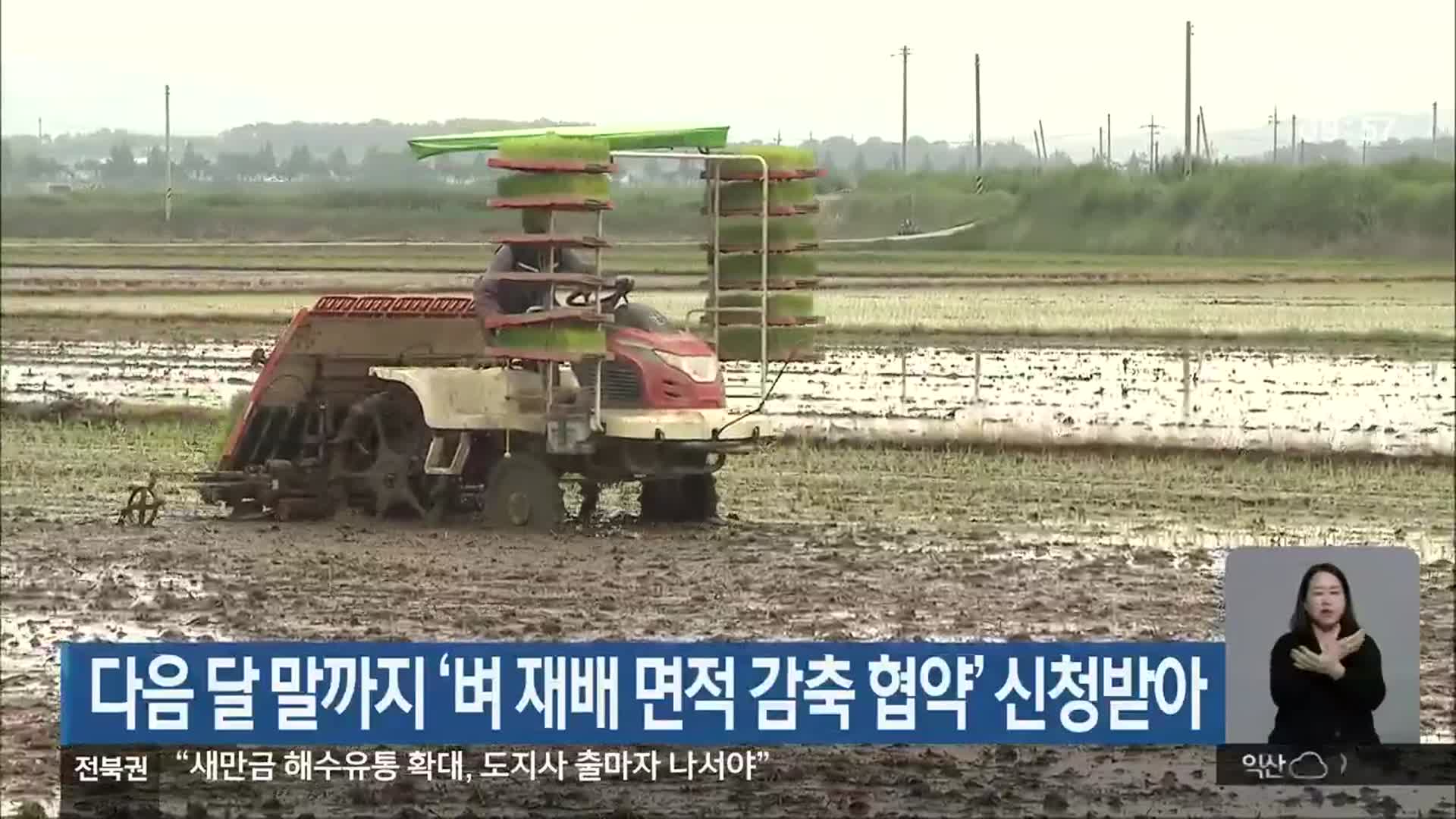 다음 달 말까지 ‘벼 재배 면적 감축 협약’ 신청받아