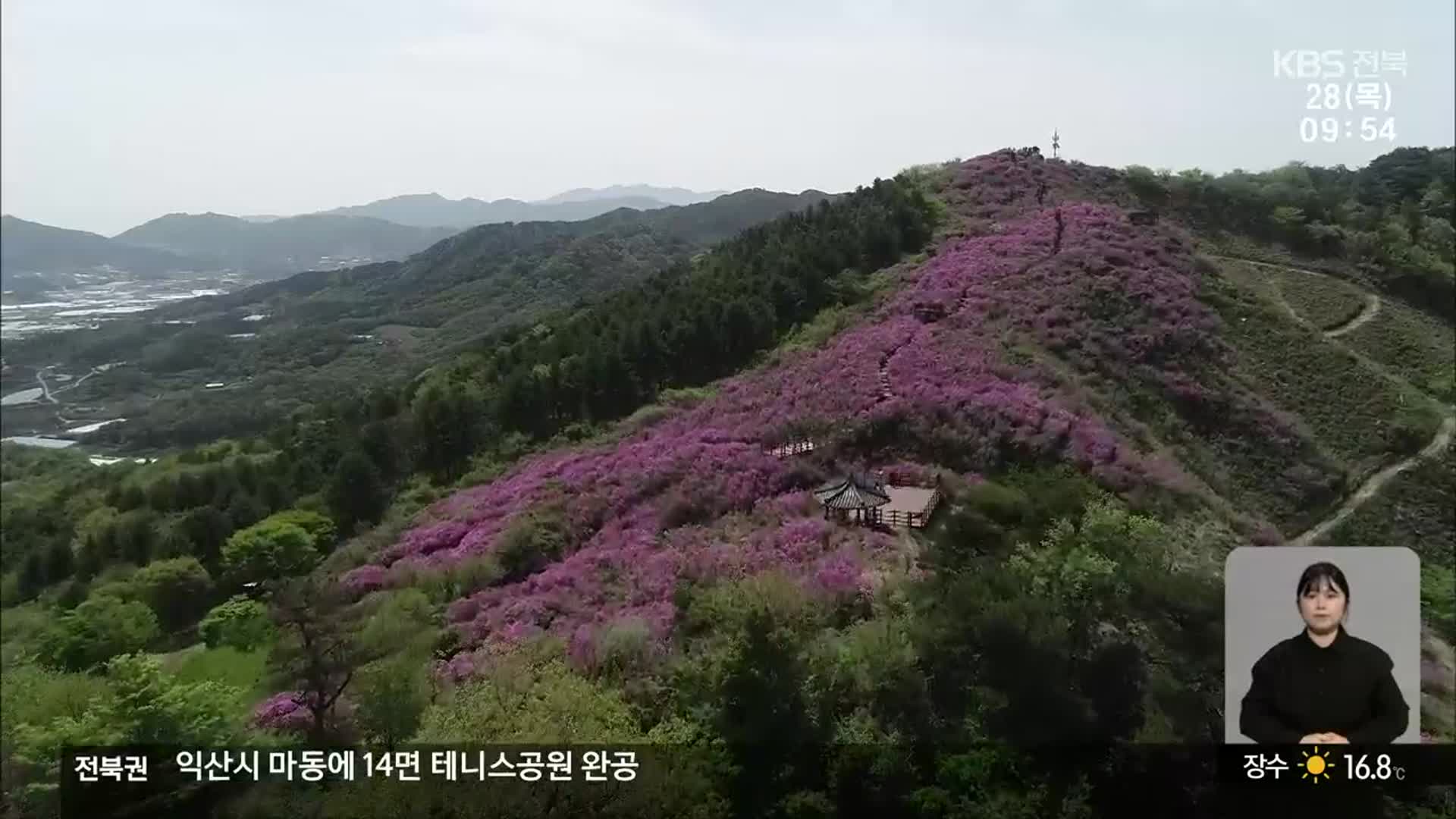 [전북의 창] 봉화산 철쭉 개화…진분홍빛 물결 설렘