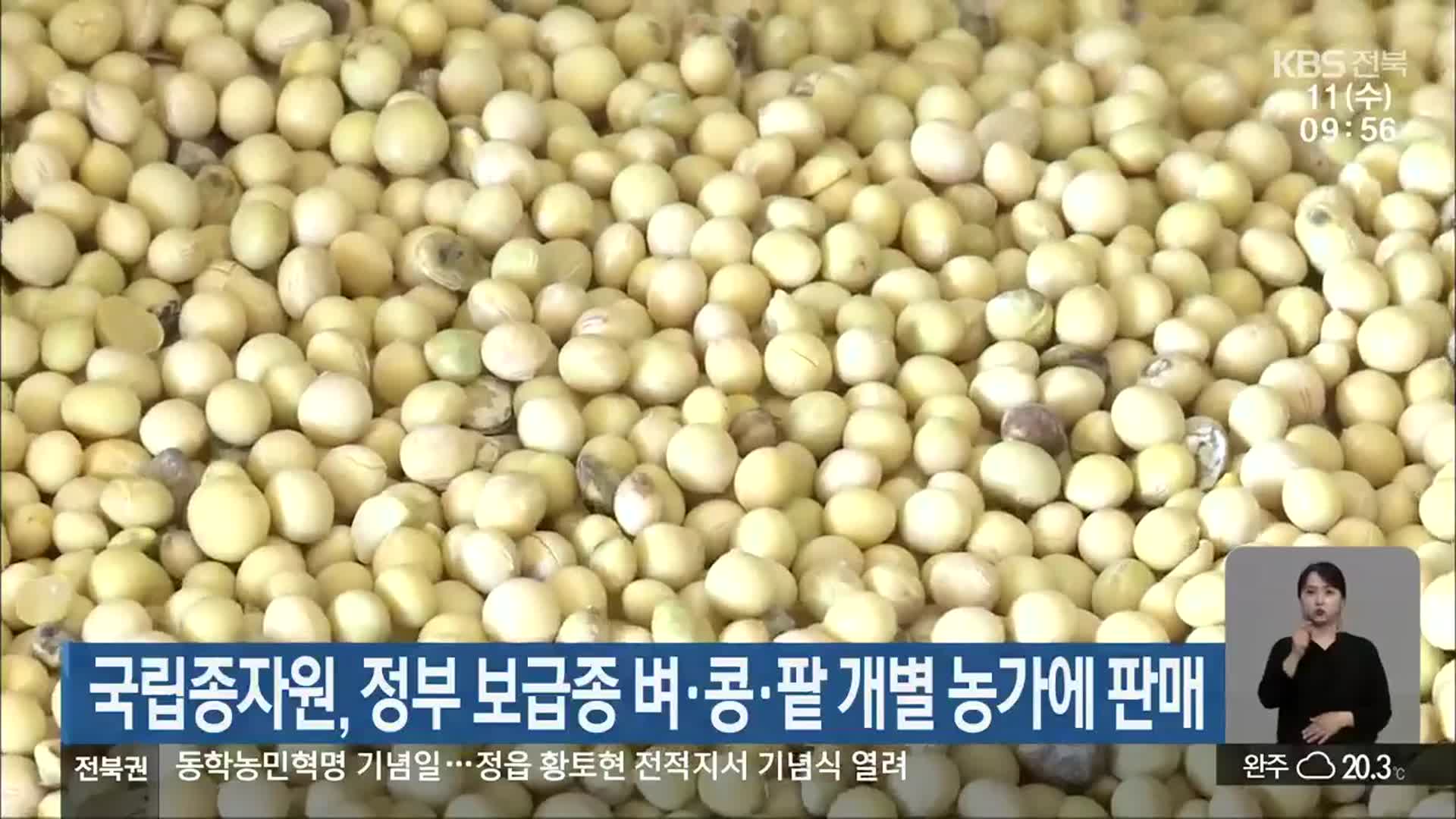 국립종자원, 정부 보급종 벼·콩·팥 개별 농가에 판매