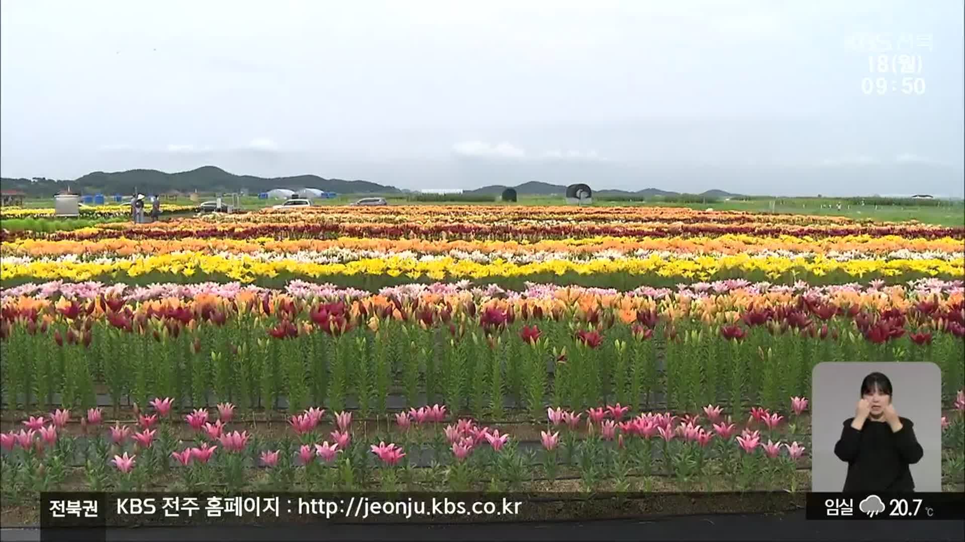 새만금 간척지…대규모 경관농업 실험