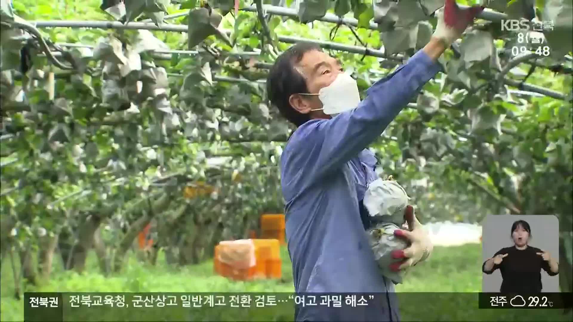 예산 삭감에 코로나19 재확산…영농도우미 조기 종료 ‘우려’