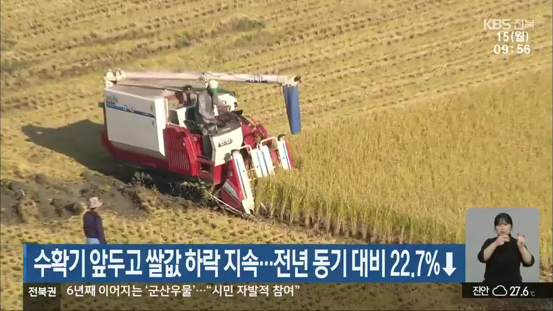 수확기 앞두고 쌀값 하락 지속…전년 동기 대비 22.7%↓