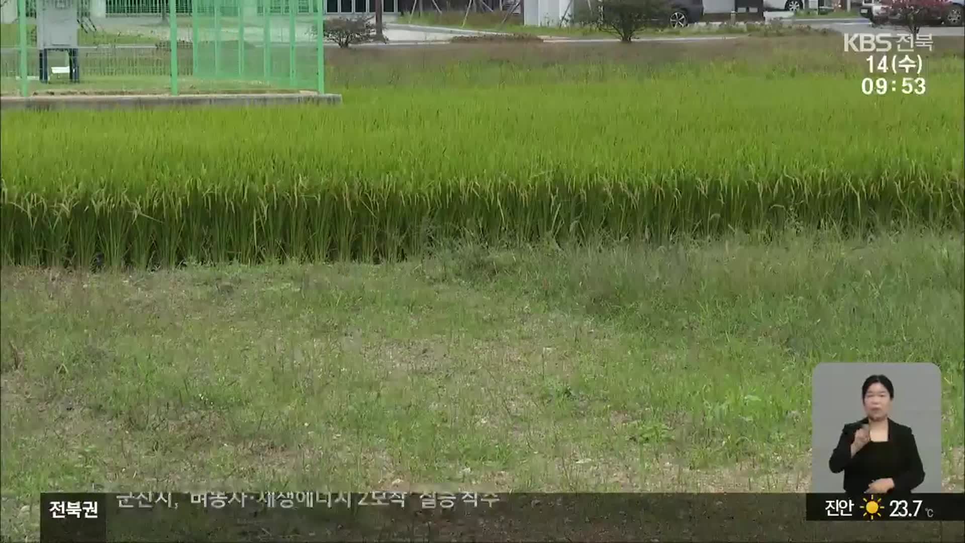 [전북의 창] 군산시, ‘벼농사에 재생에너지 2모작’ 연구