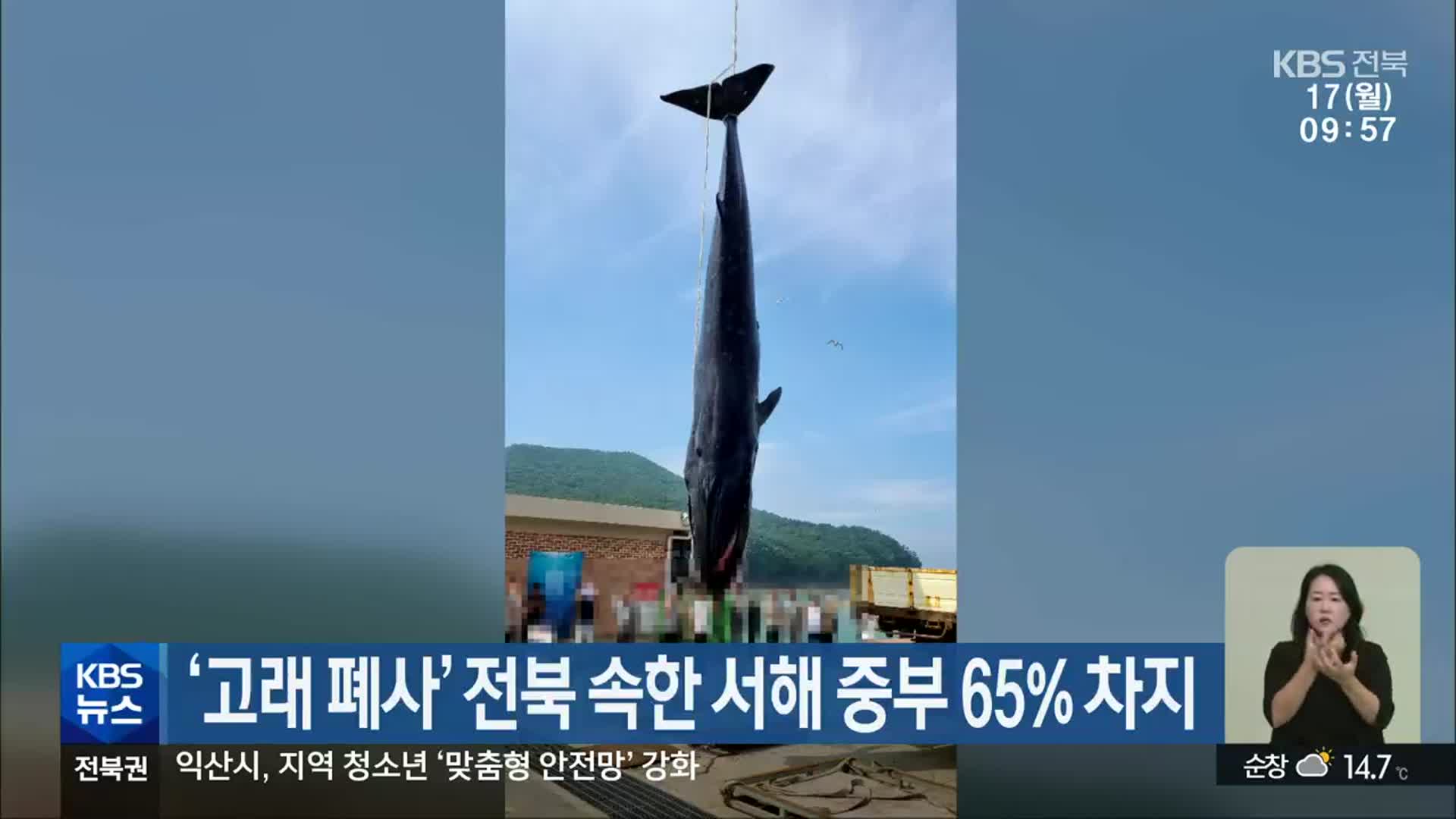 ‘고래 폐사’ 전북 속한 서해 중부 65% 차지