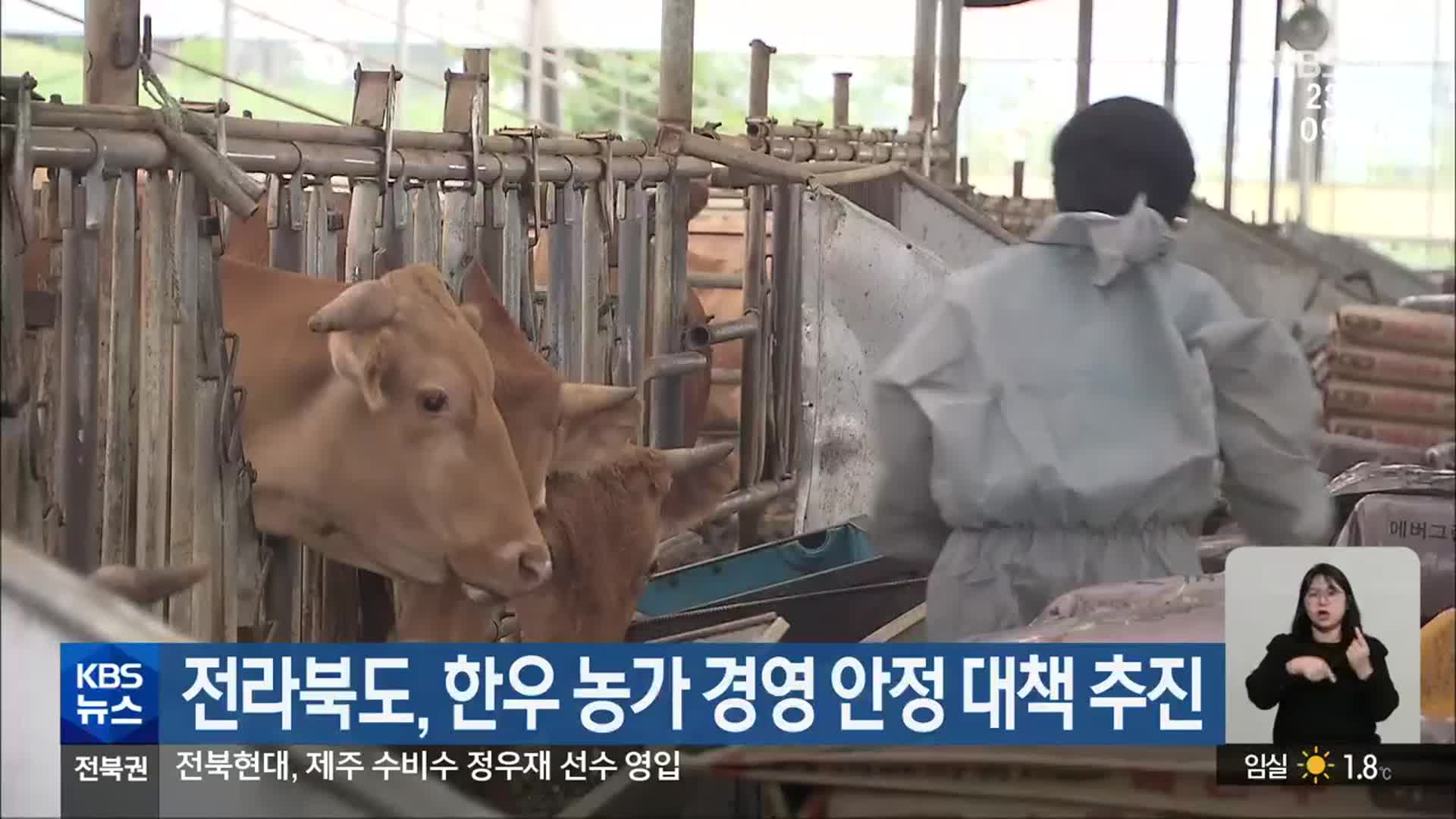 전라북도, 한우 농가 경영 안정 대책 추진