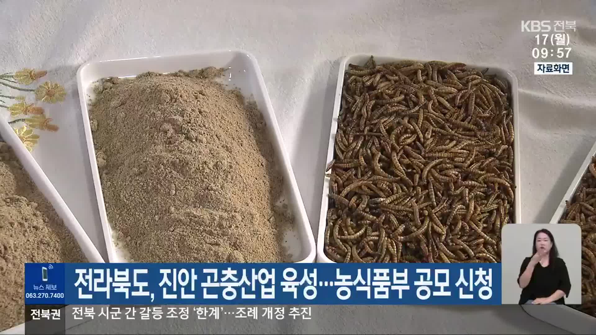 전라북도, 진안 곤충산업 육성…농식품부 공모 신청