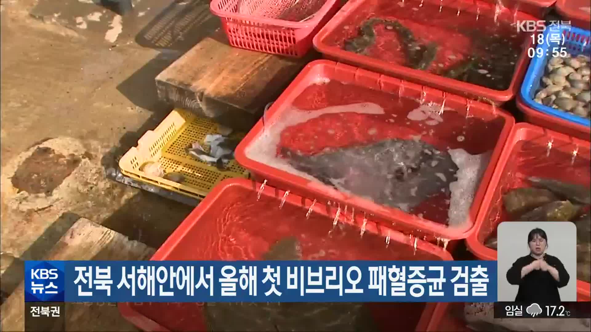 전북 서해안에서 올해 첫 비브리오 패혈증균 검출