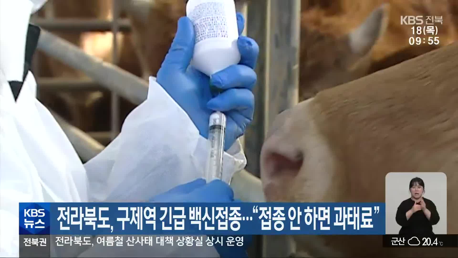 전라북도, 구제역 긴급 백신접종…“접종 안 하면 과태료”