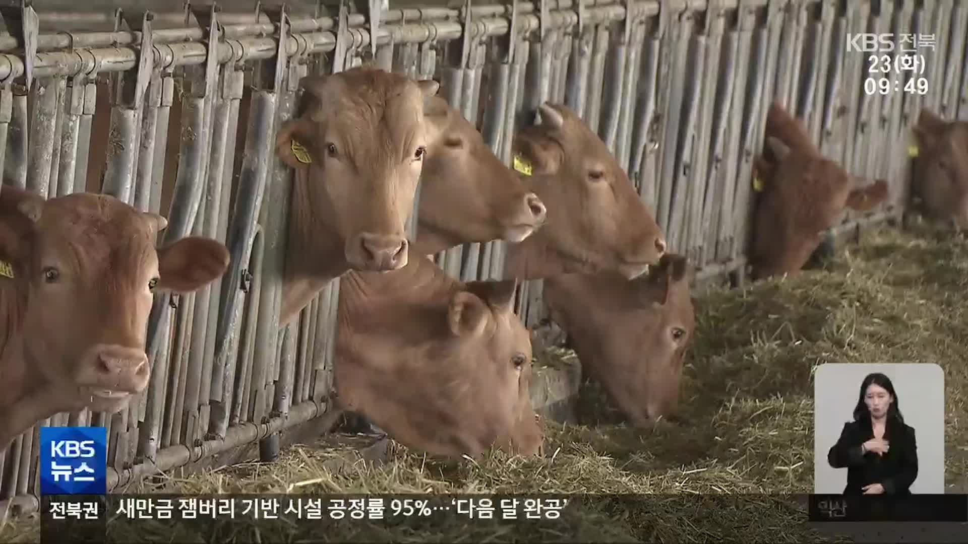4년 만의 구제역 발병…전북 축산 농가 ‘비상’