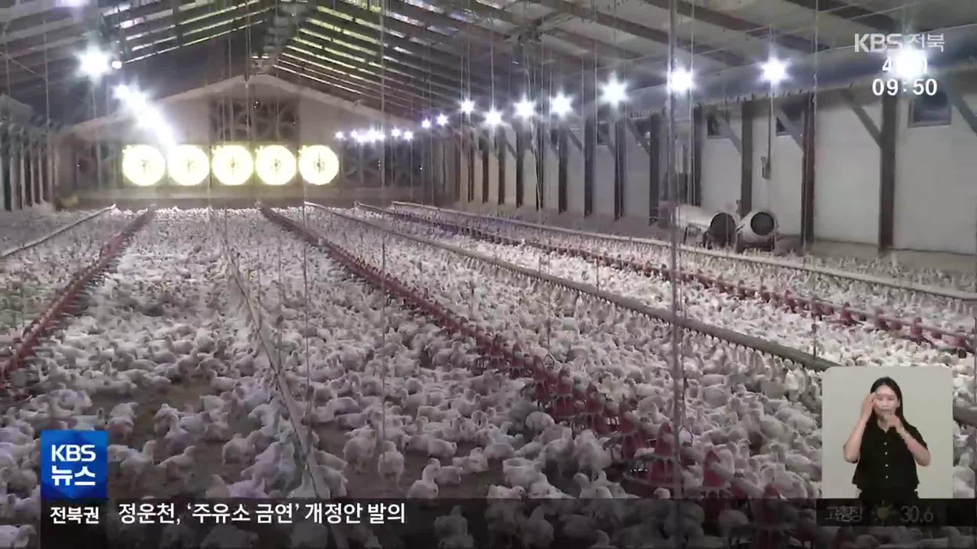 가축 2만 7천여 마리 폐사…축산농가 ‘폭염 비상’