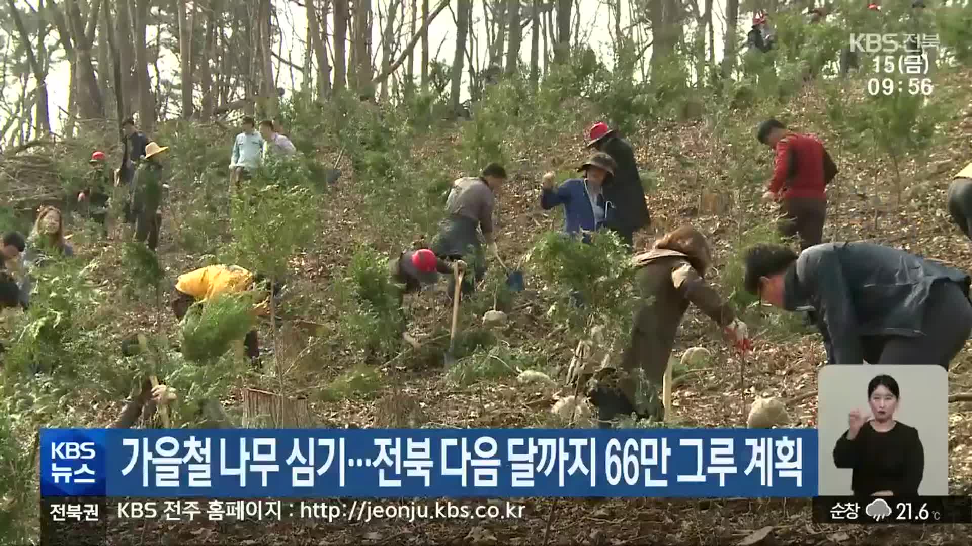 가을철 나무 심기…전북 다음 달까지 66만 그루 계획