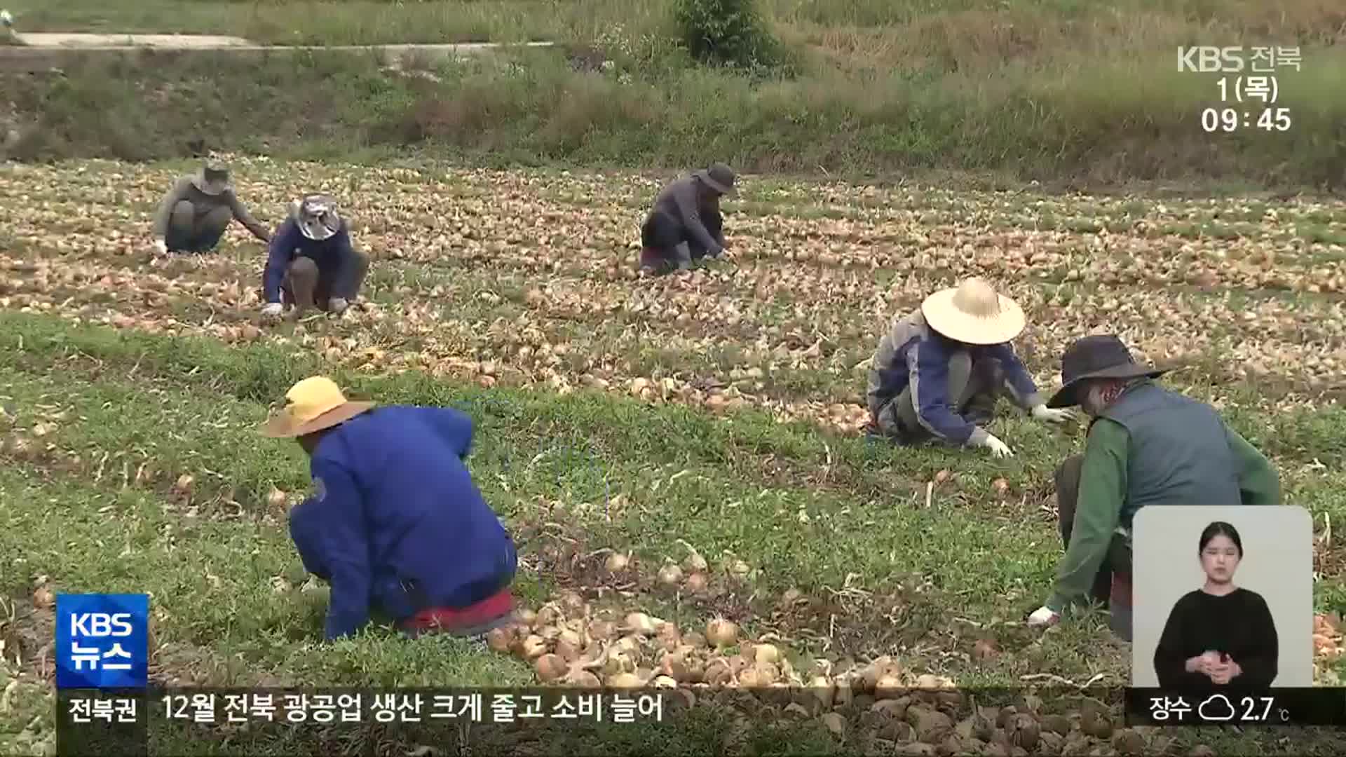 농촌 살리려면…“농업노동자 정착 지원”