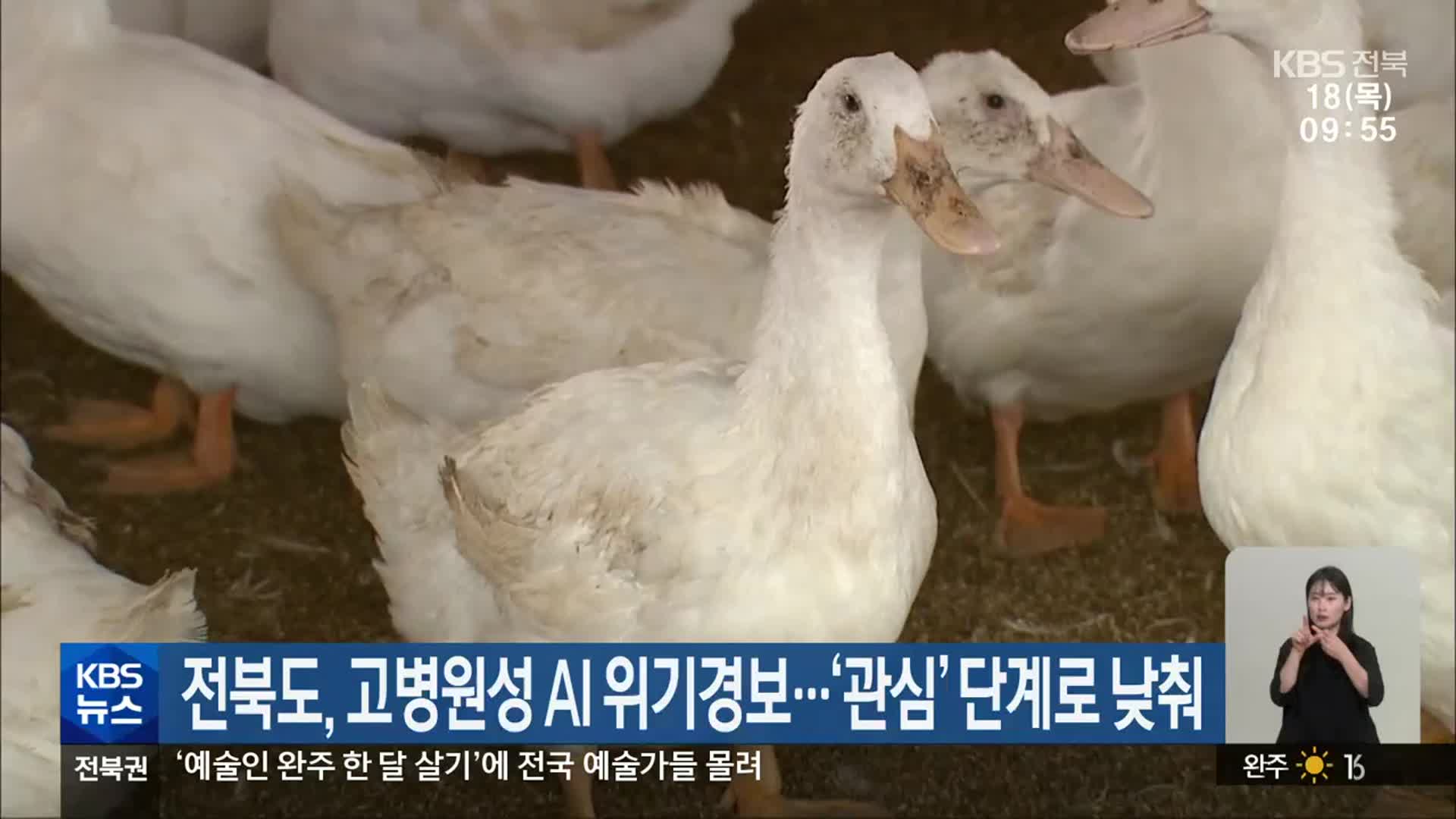 전북도, 고병원성 AI 위기경보…‘관심’ 단계로 낮춰