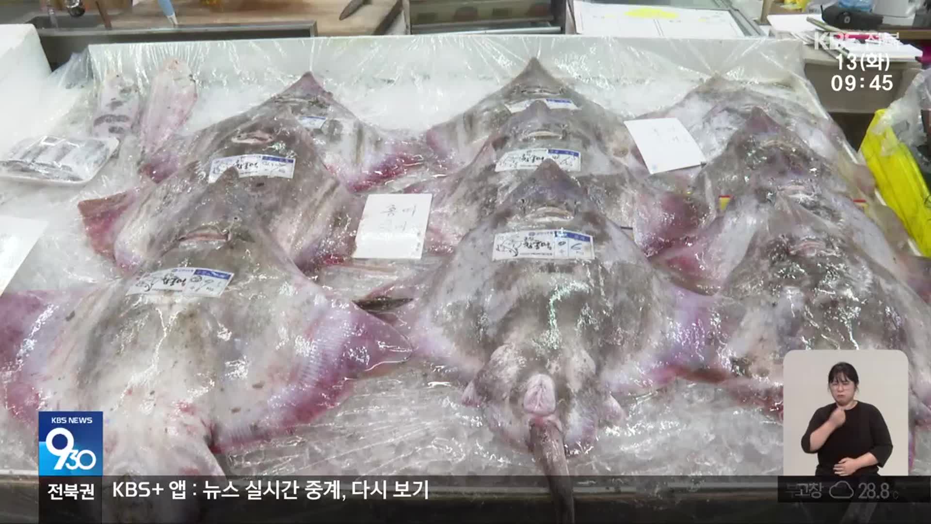 흑산도 제친 ‘홍어 최대 주산지’ 군산, 경쟁력 강화는?