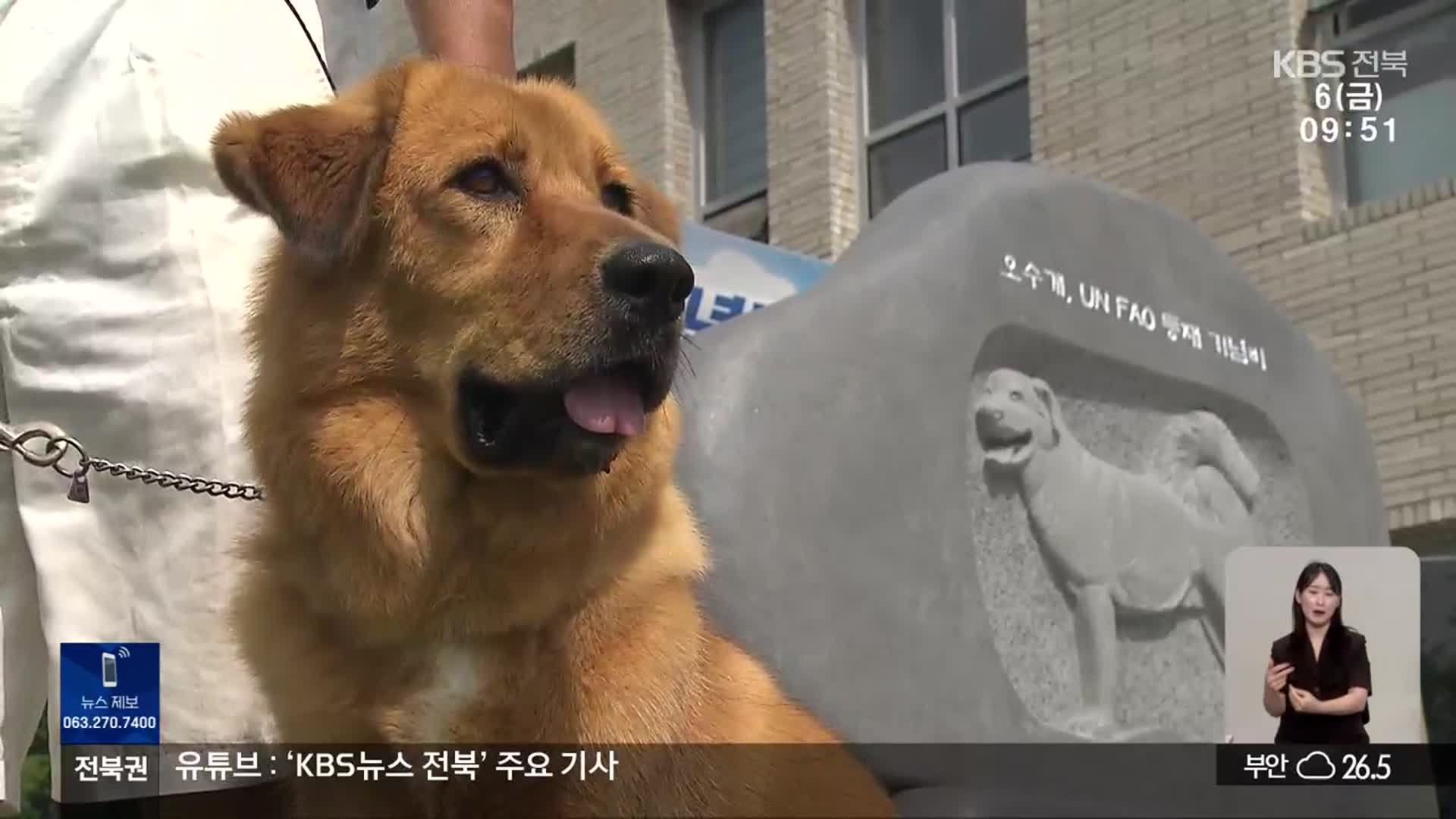 오수개 국제 기구 품종 인증…임실 반려 관광 중심지 주목