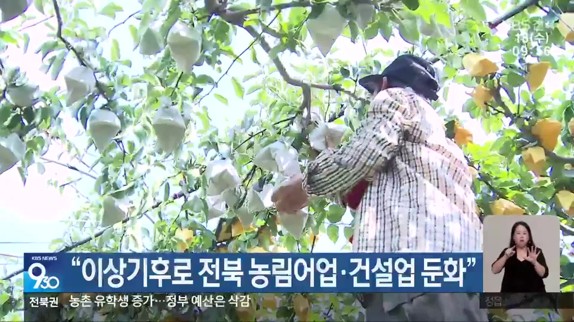 “이상기후로 전북 농림어업·건설업 둔화”