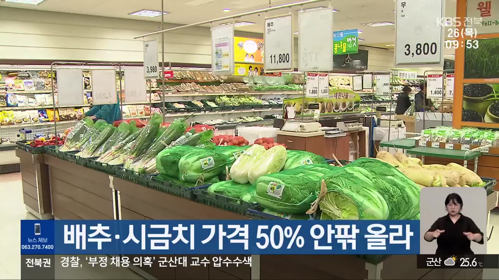 배추·시금치 가격 50% 안팎 올라
