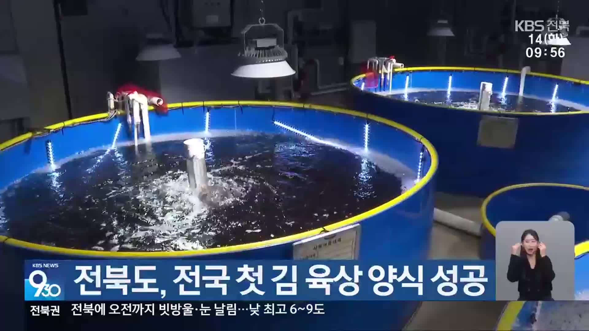 전북도, 전국 첫 김 육상 양식 성공