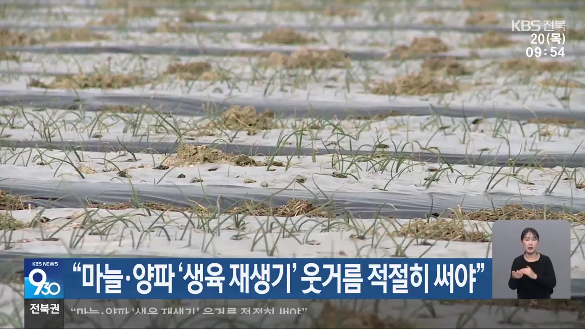 “마늘·양파 ‘생육 재생기’ 웃거름 적절히 써야”