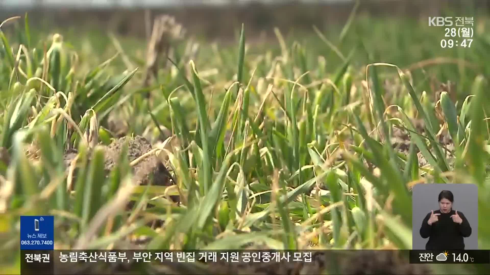 기후변화 속 농작물 재해보험 보상 ‘찔끔’…“공적보험 전환해야”