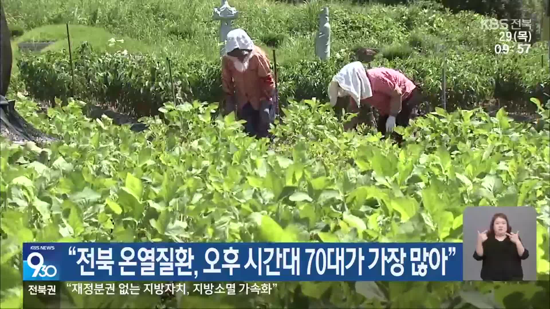 “전북 온열질환, 오후 시간대 70대가 가장 많아”