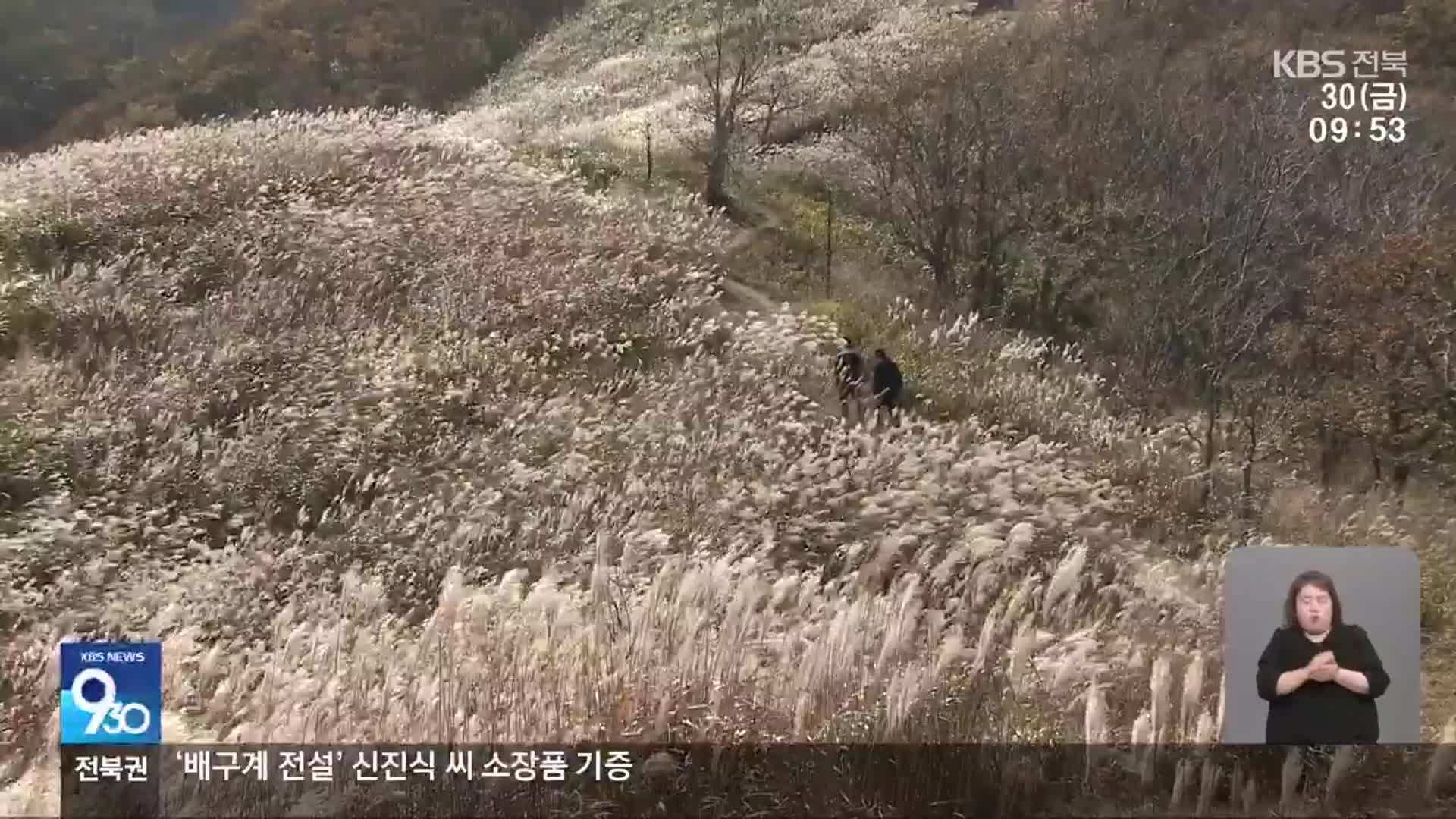 [전북의 창] 장수군 장안산 ‘억새 산림 복원’…“20만 그루 심는다”