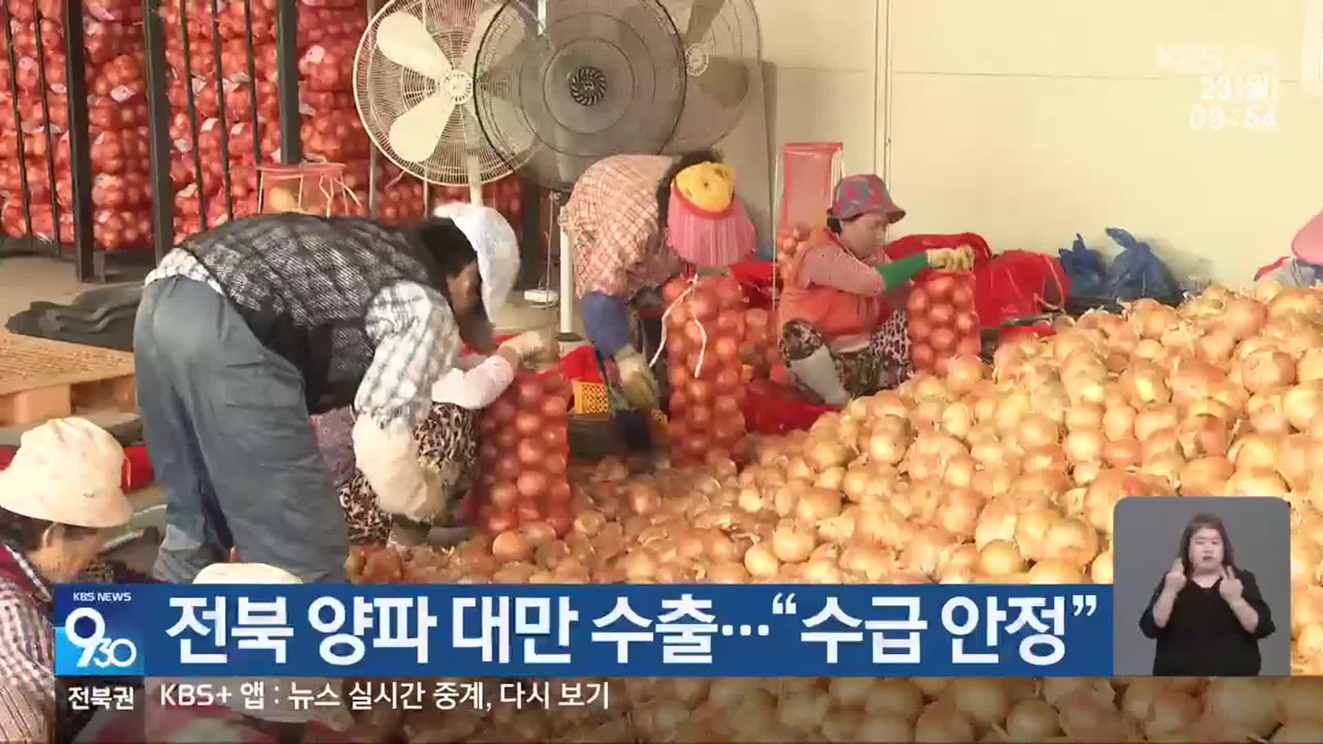 전북 양파 대만 수출…“수급 안정”