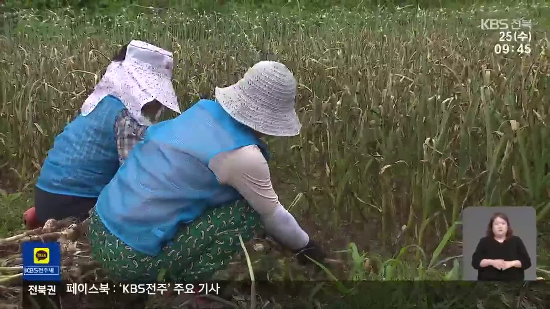 농촌 인력난 가중…“농번기만이라도 도와주세요”