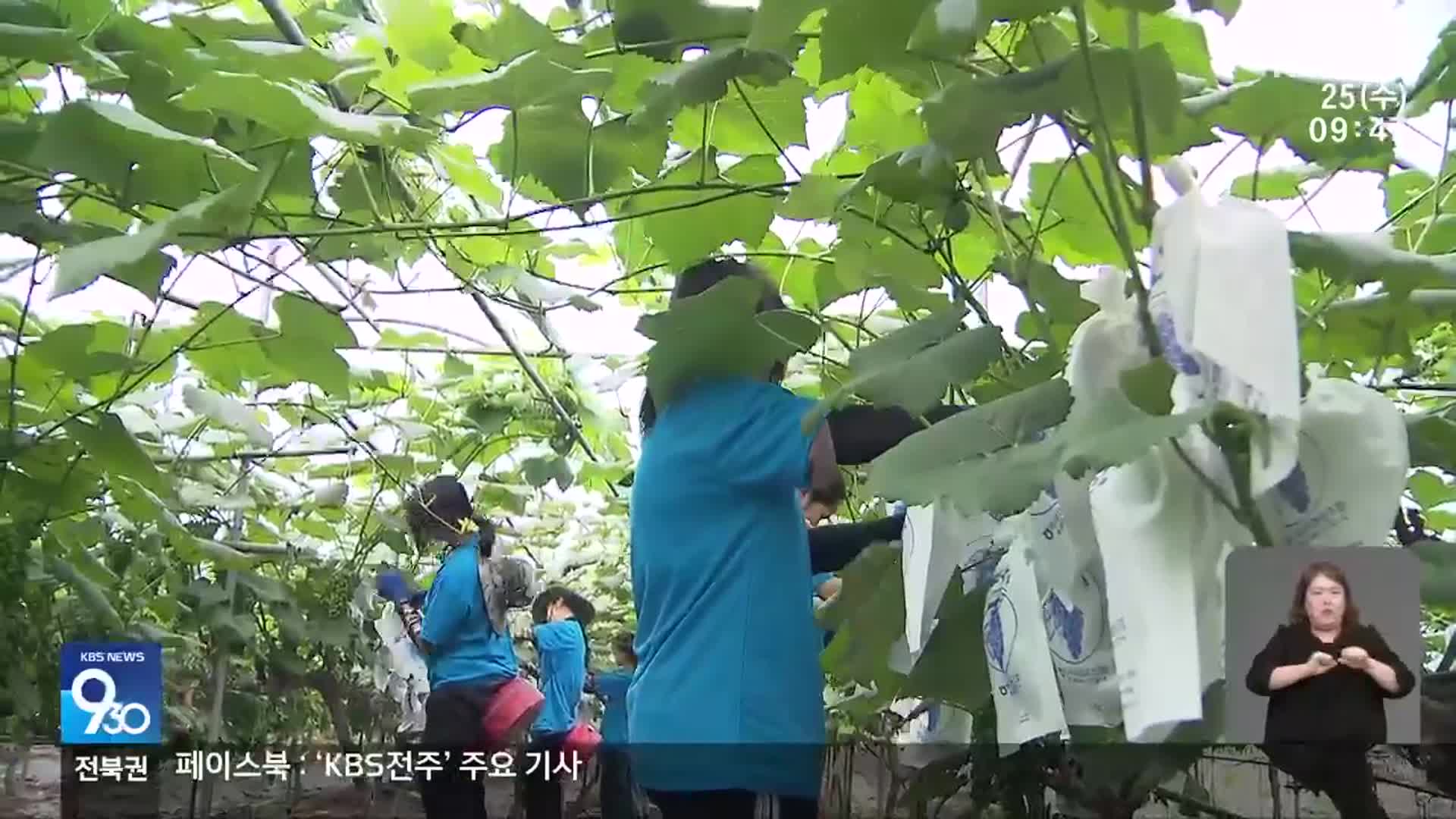 “일손 돕고 한국 배우고”…외국인 유학생 첫 ‘농활’