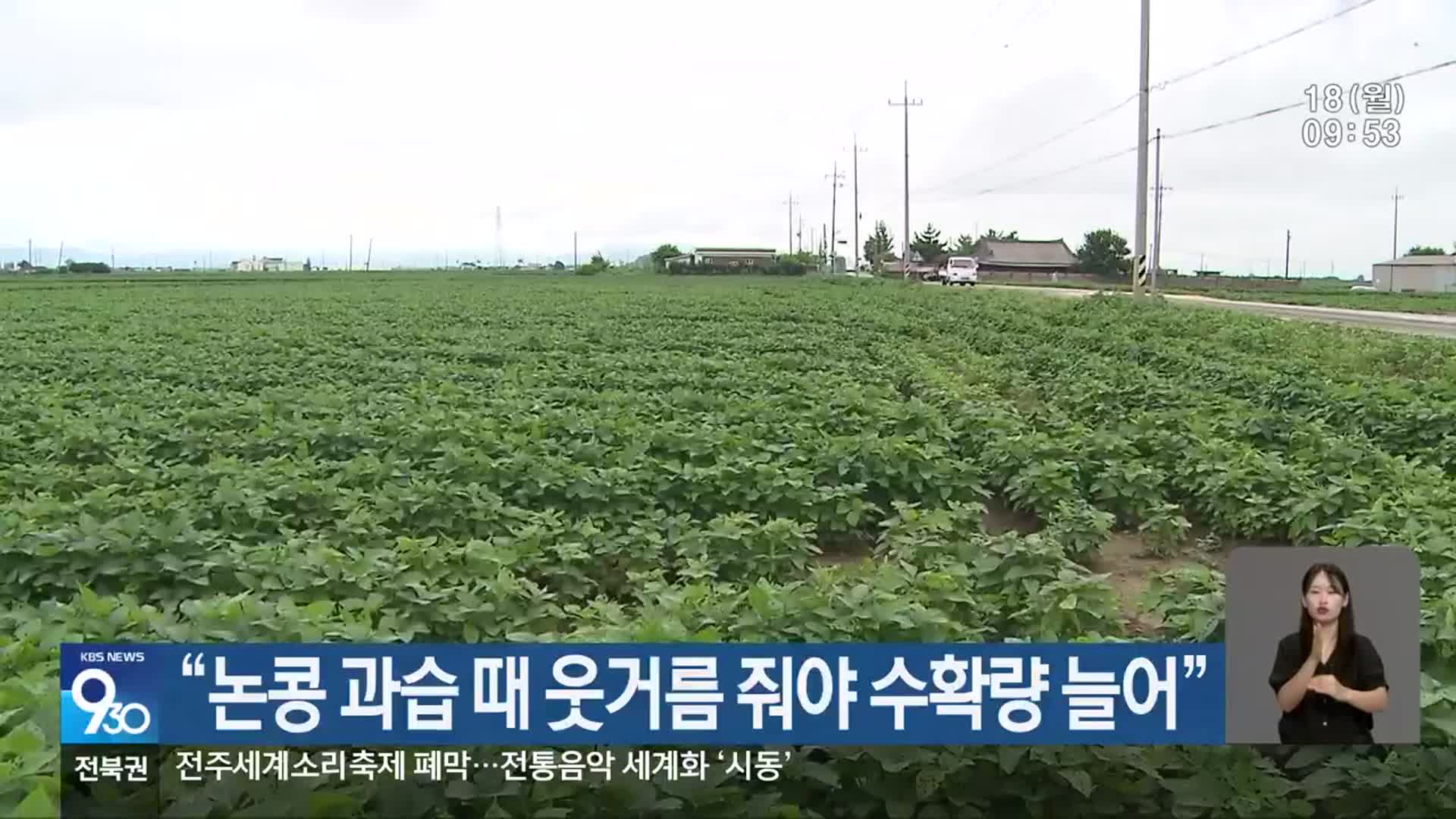 “논콩 과습 때 웃거름 줘야 수확량 늘어”