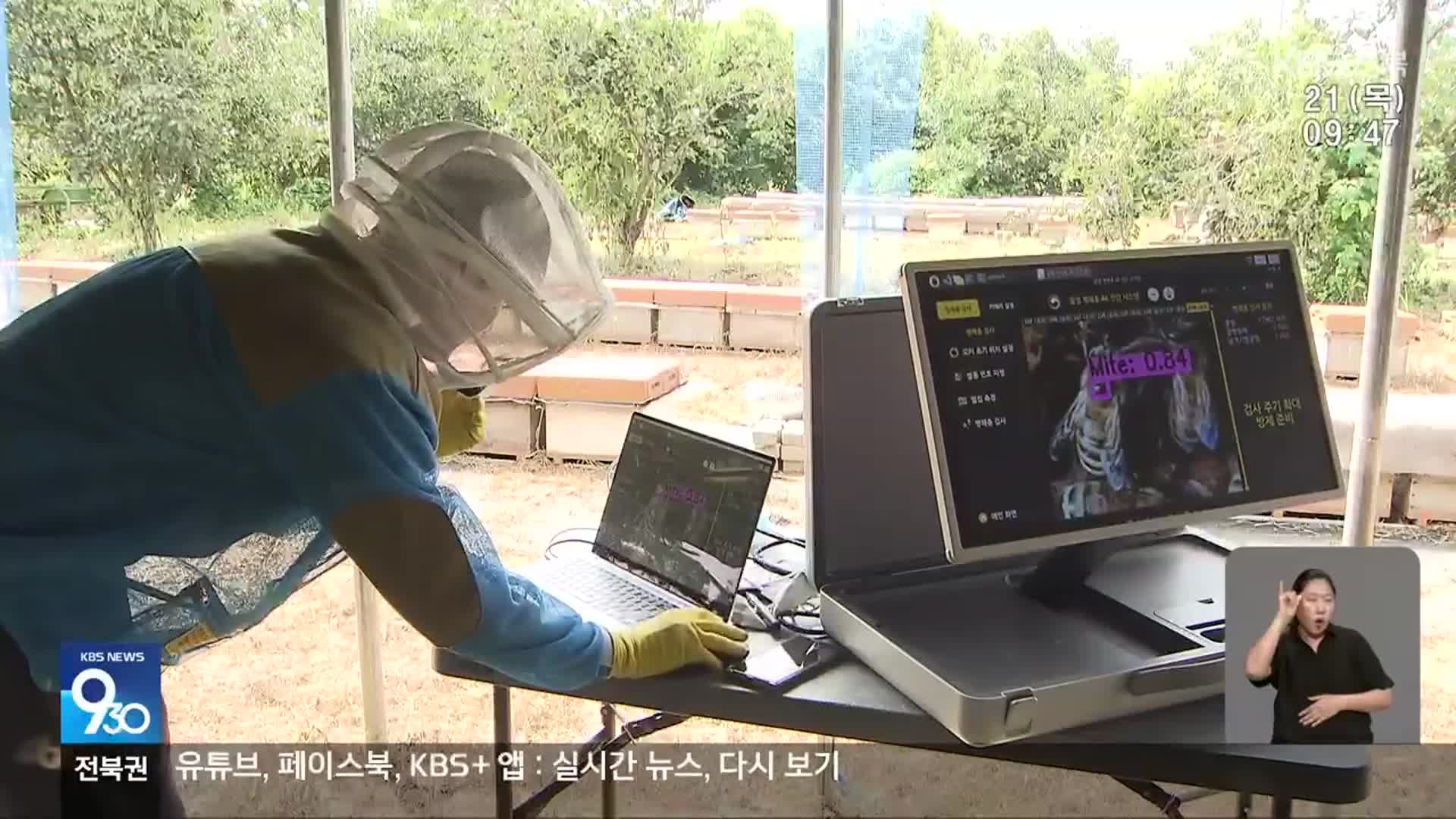 꿀벌 폐사 막을 꿀벌응애 실시간 검출 장치 개발